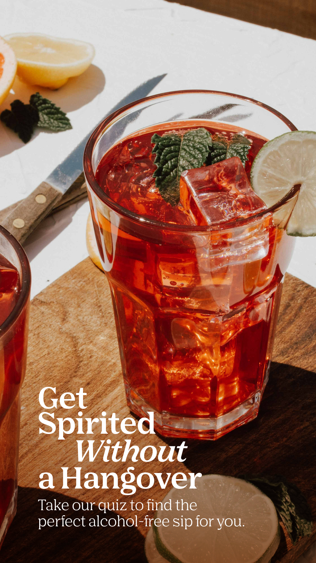 Wishlist Non-Alcoholic Spirits Story 1.png