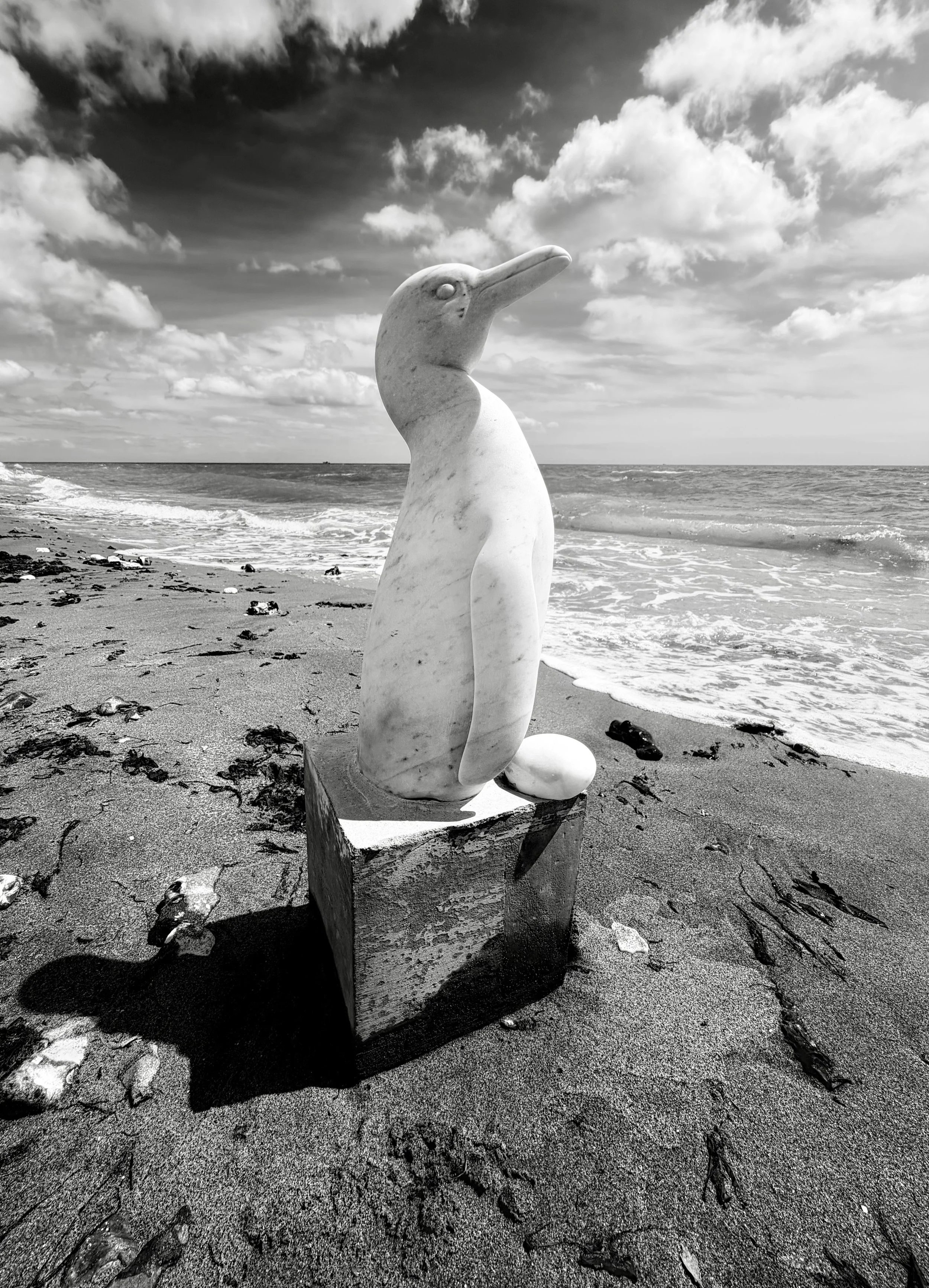 Penguin, feet trapped in concrete on a beach, with an egg that may or may not hatch.