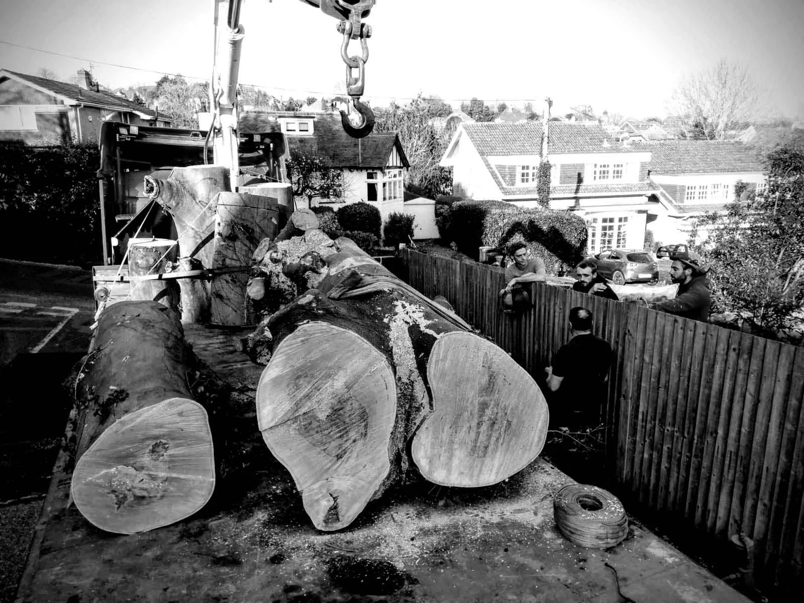 Crane lifting large tree sections during professional tree removal work in a residential area