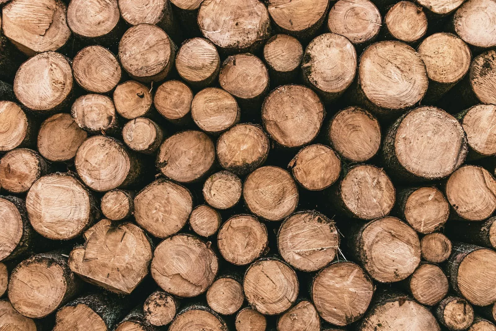 Stacked unsplit tree logs ready for cutting and seasoning in Brighton and Sussex