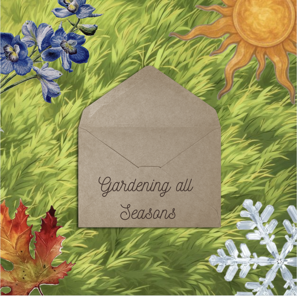 Gardening: Petal & Post Subscription