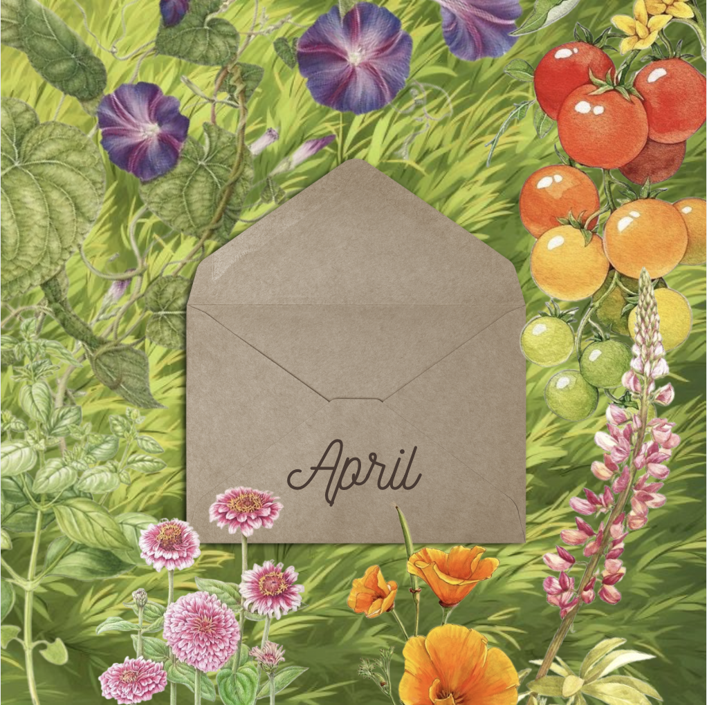 Gardening: One Month Petal Post
