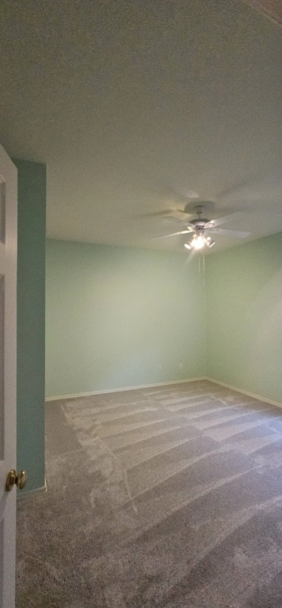 Empty room with green walls, beige carpet flooring, a ceiling fan with lights, and a partially open door.