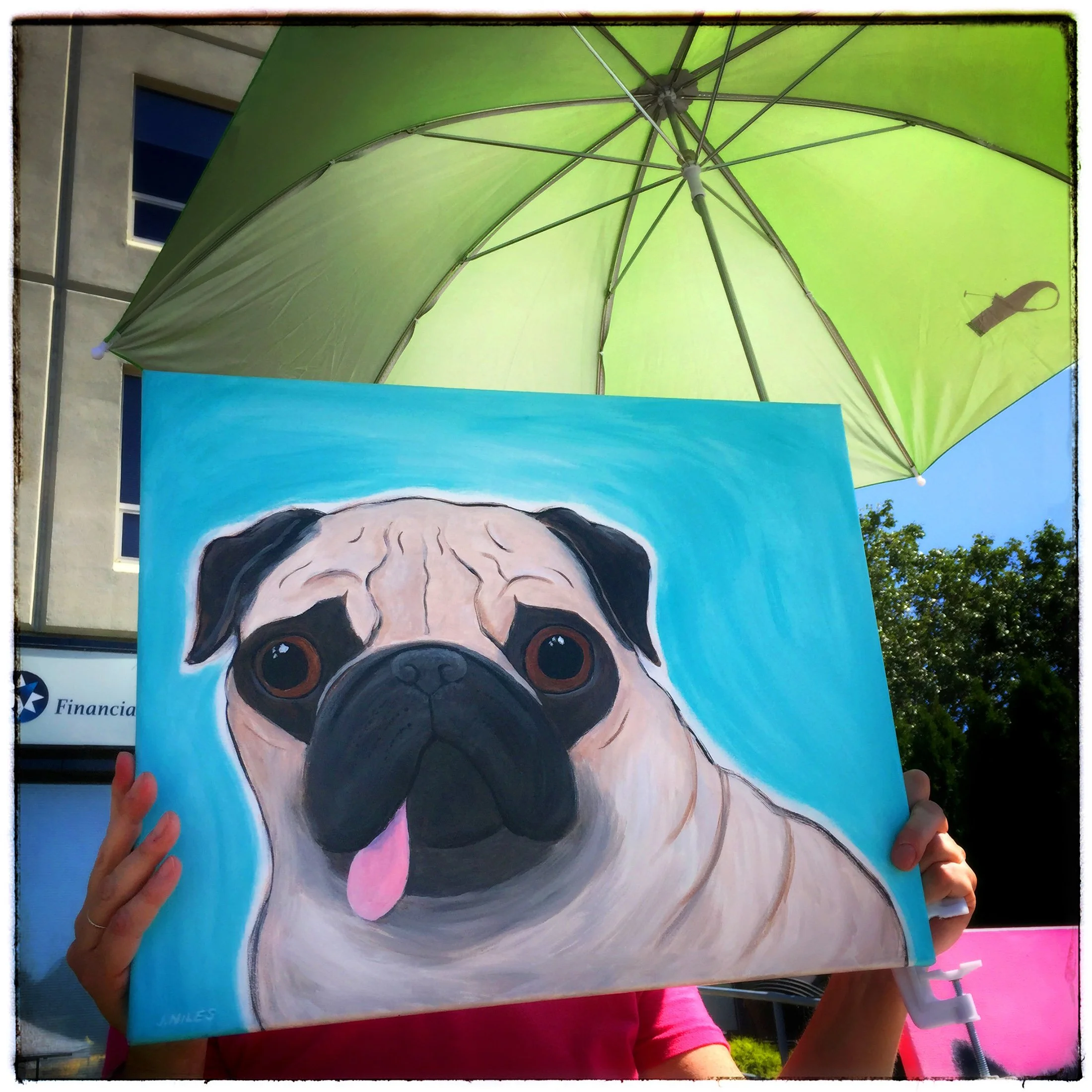 Pug Painting, Worcester, Massachusetts