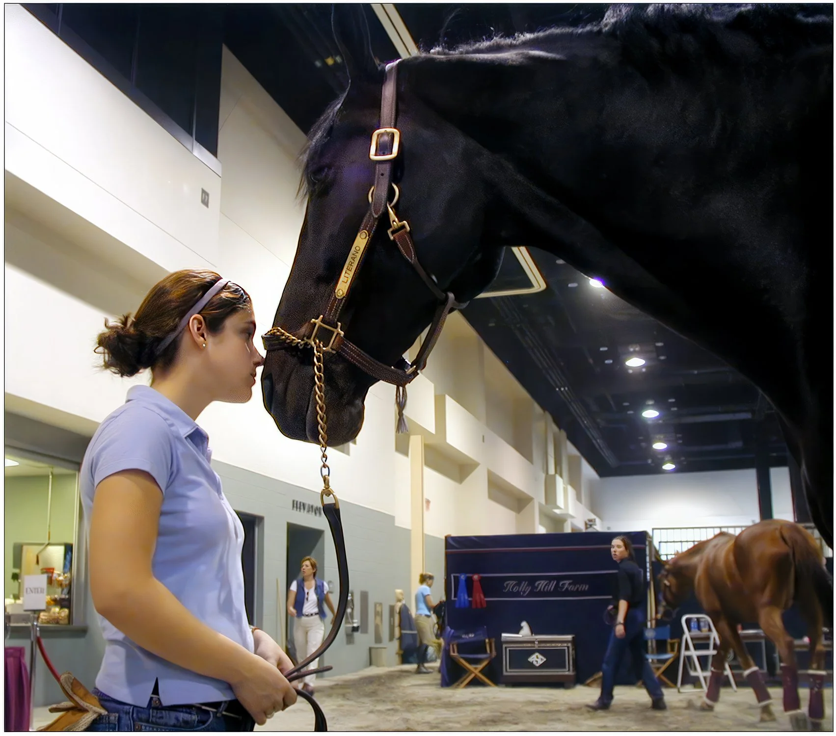 Horse Show, Worcester, MA (WORCESTER TELEGRAM & GAZETTE)