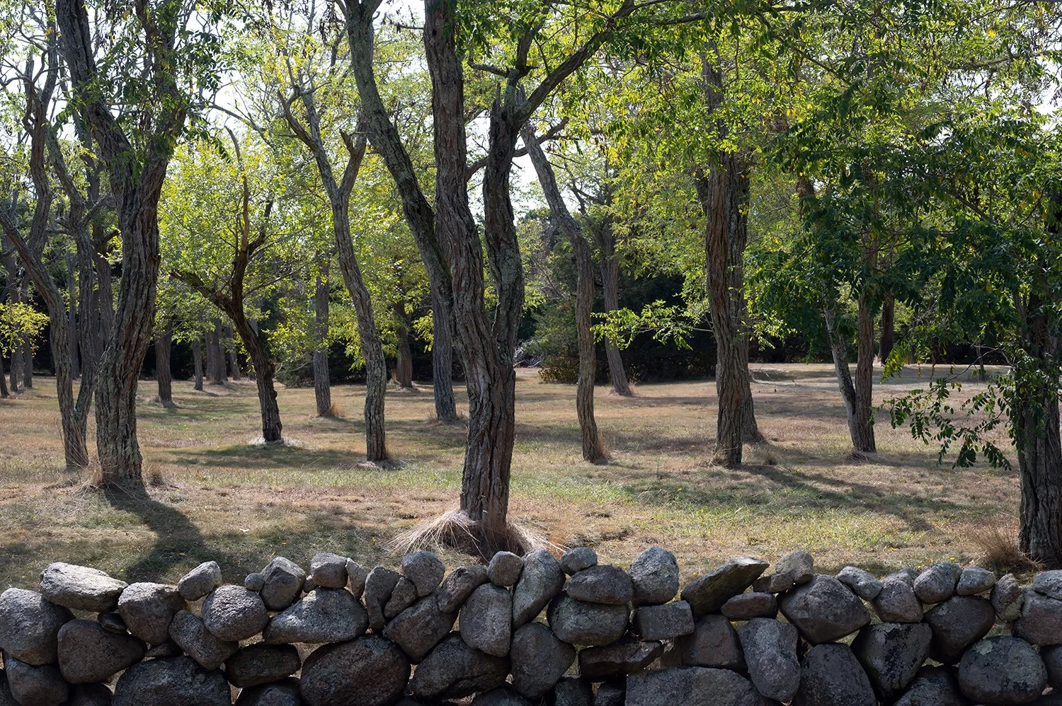 West Barnstable, Massachusetts
