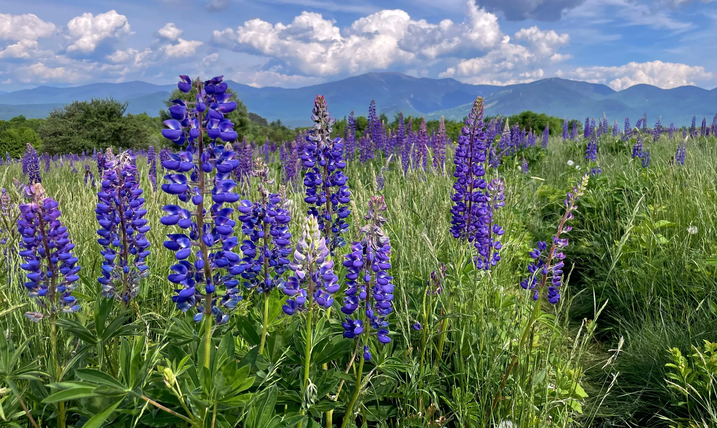 Sugar Hill, New Hampshire