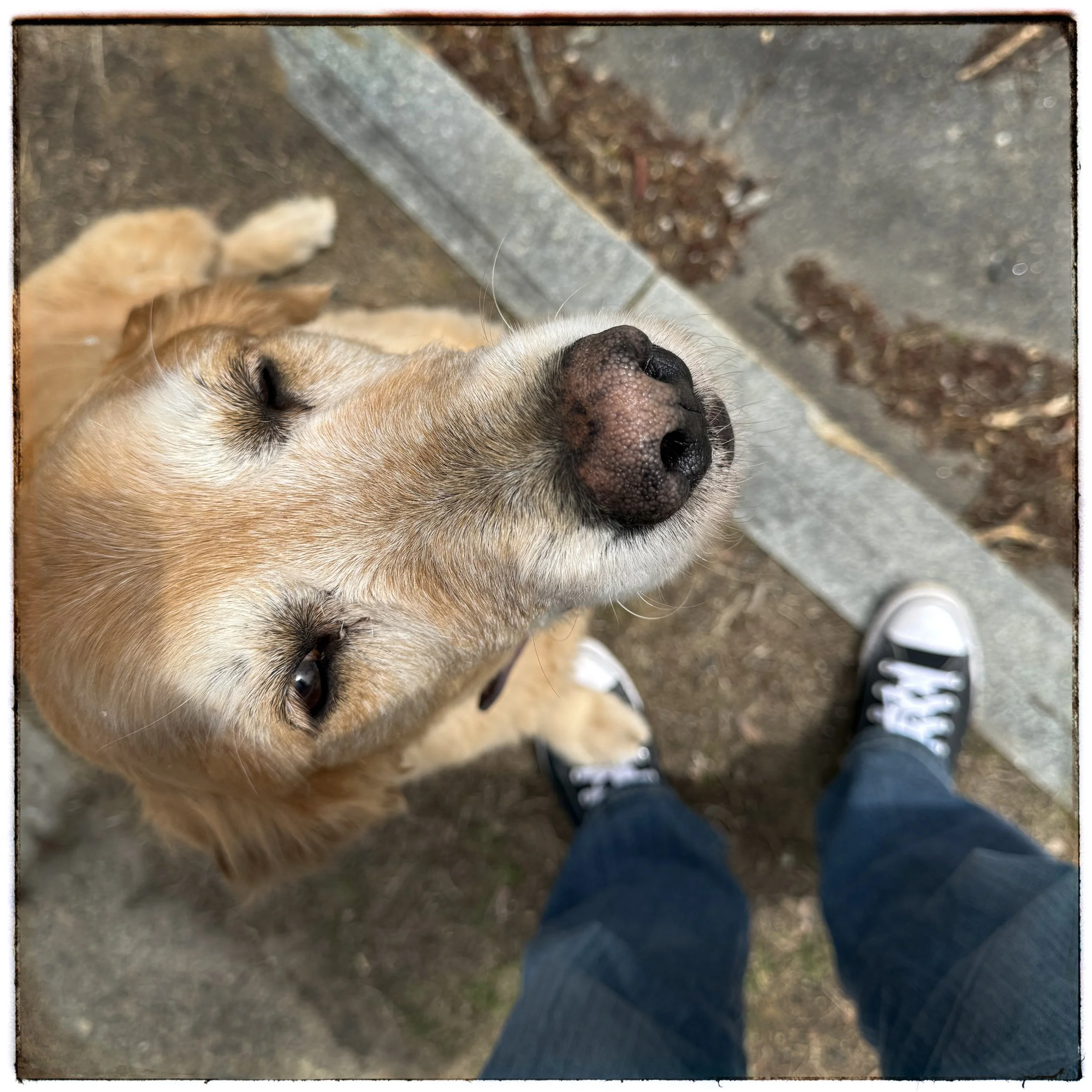 Mimi's Nose, West Brookfield, Mass., 2026