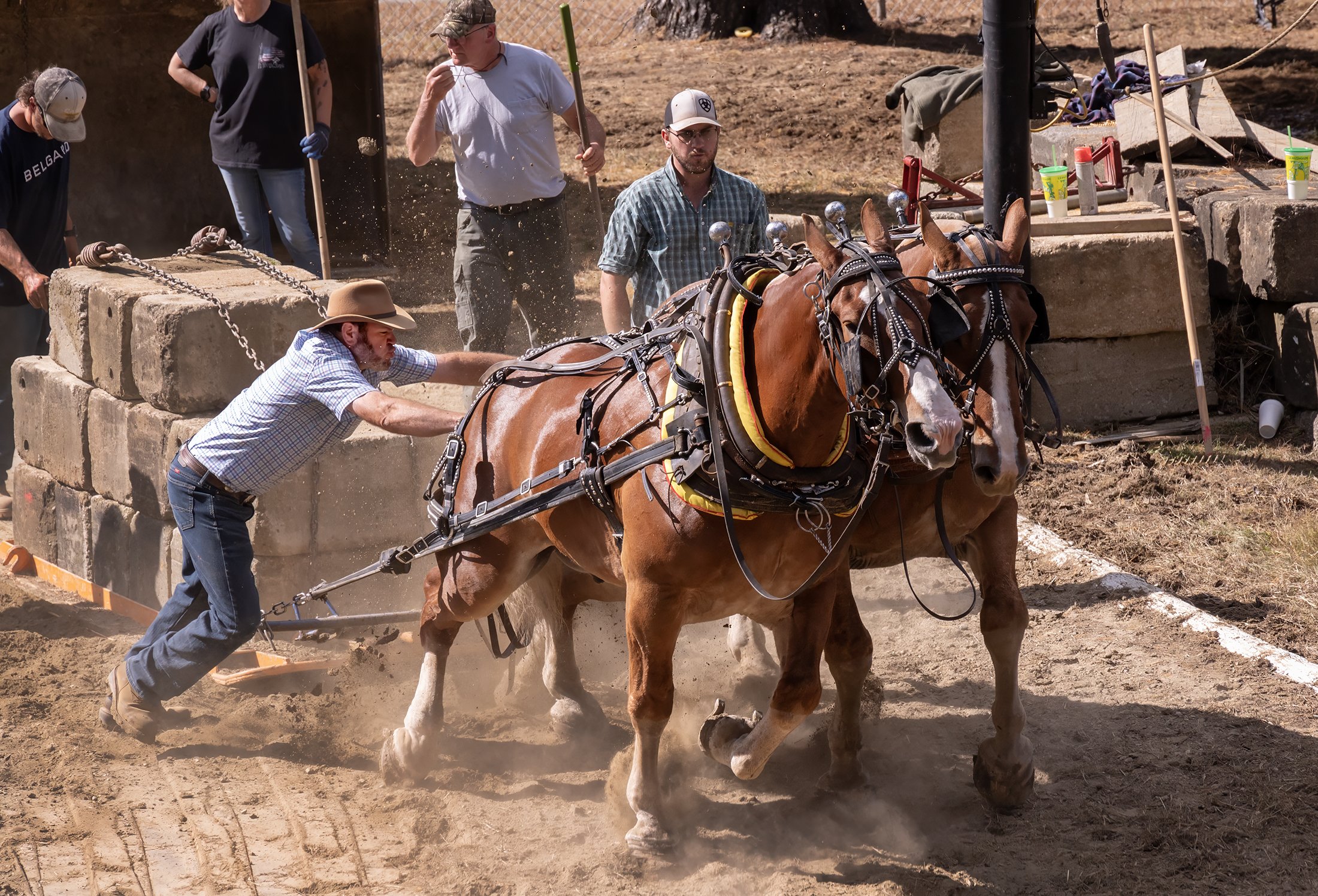 Deerfield Fair, New Hampshire