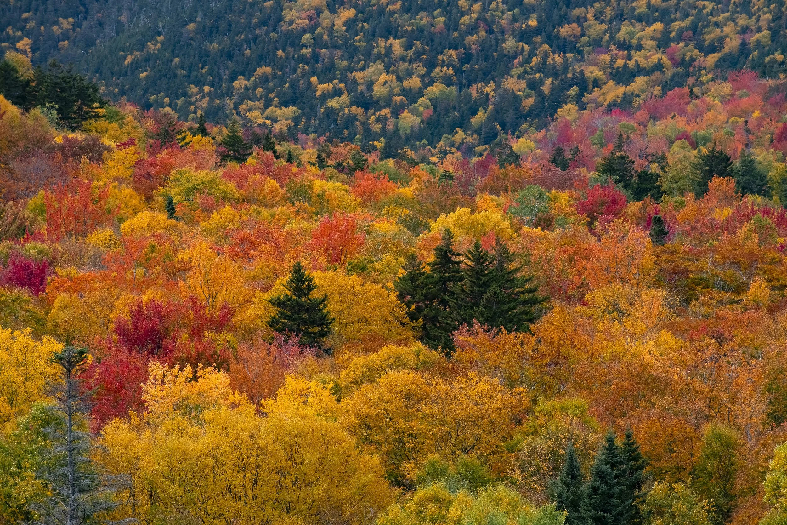 Crawford Notch, New Hampshire