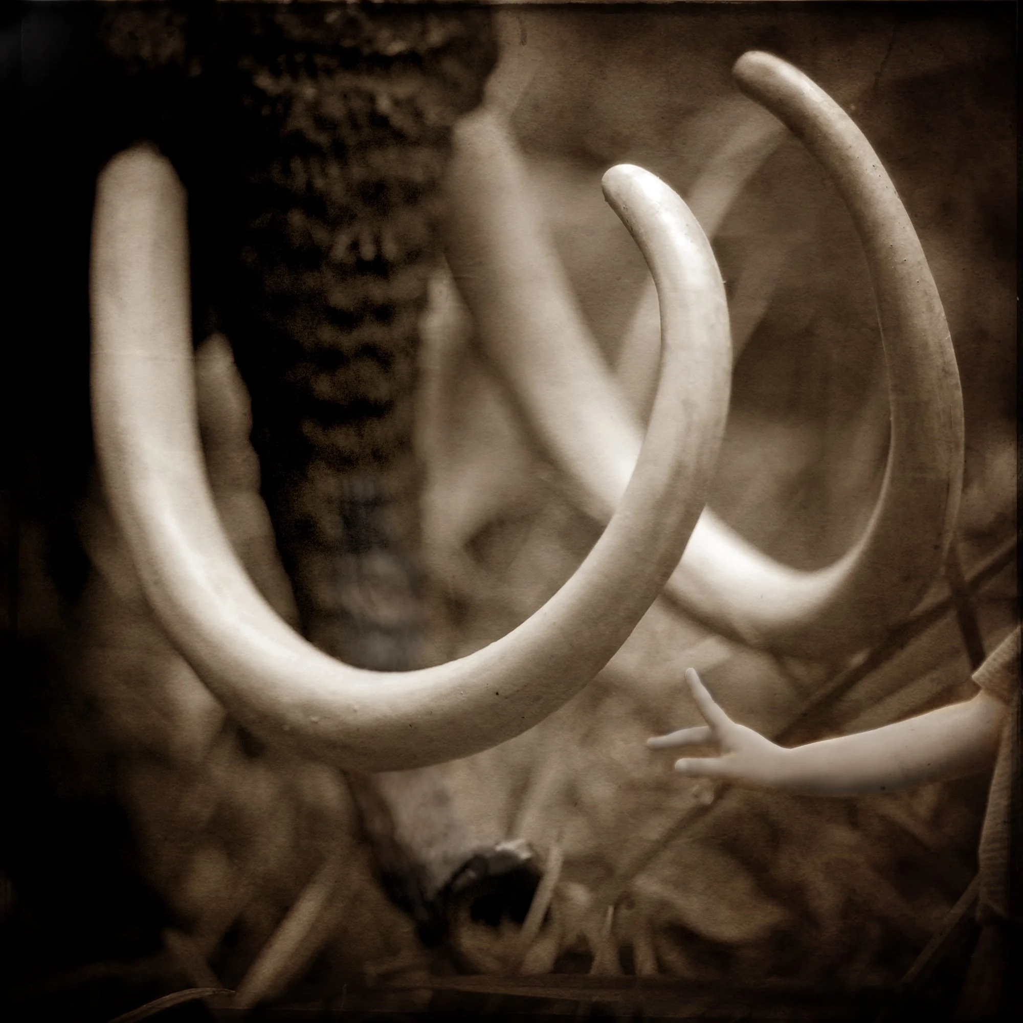 The Importance of Touch