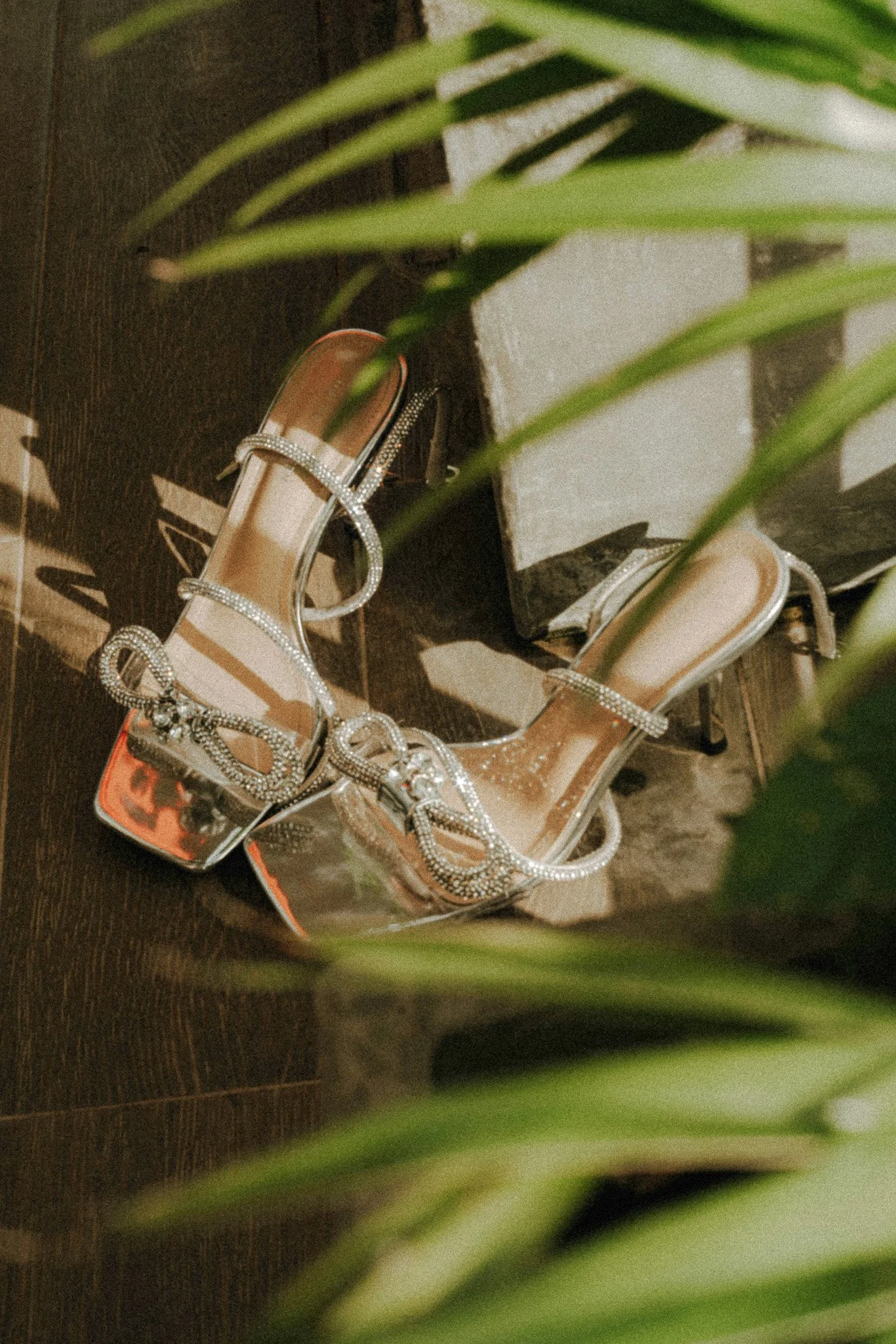 A pair of transparent high-heeled shoes with rhinestone embellishments resting on top of shoe boxes, partially obscured by green plant leaves.