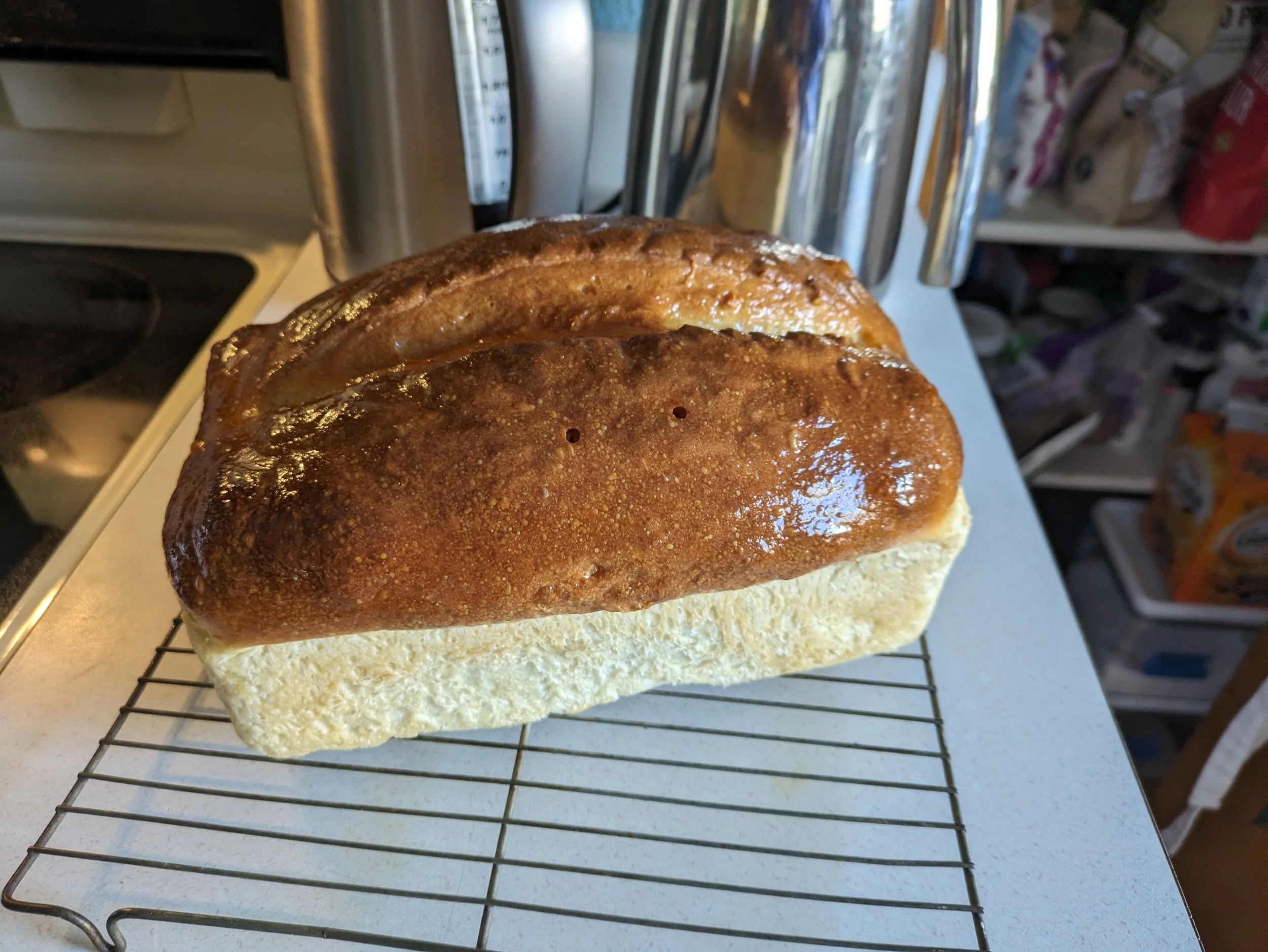 Gluten-Free White Loaf