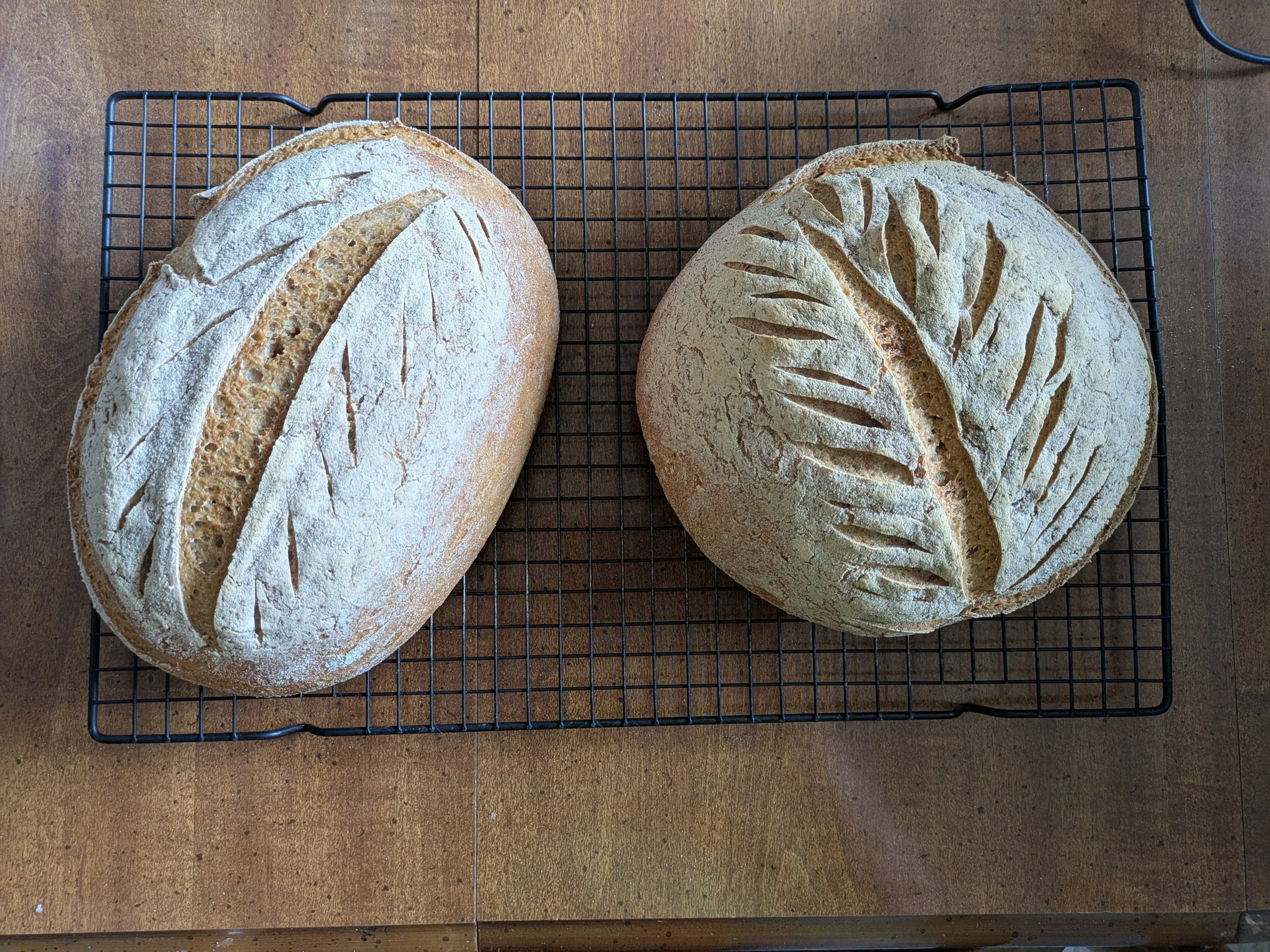 Gluten Free Sourdough3.jpg
