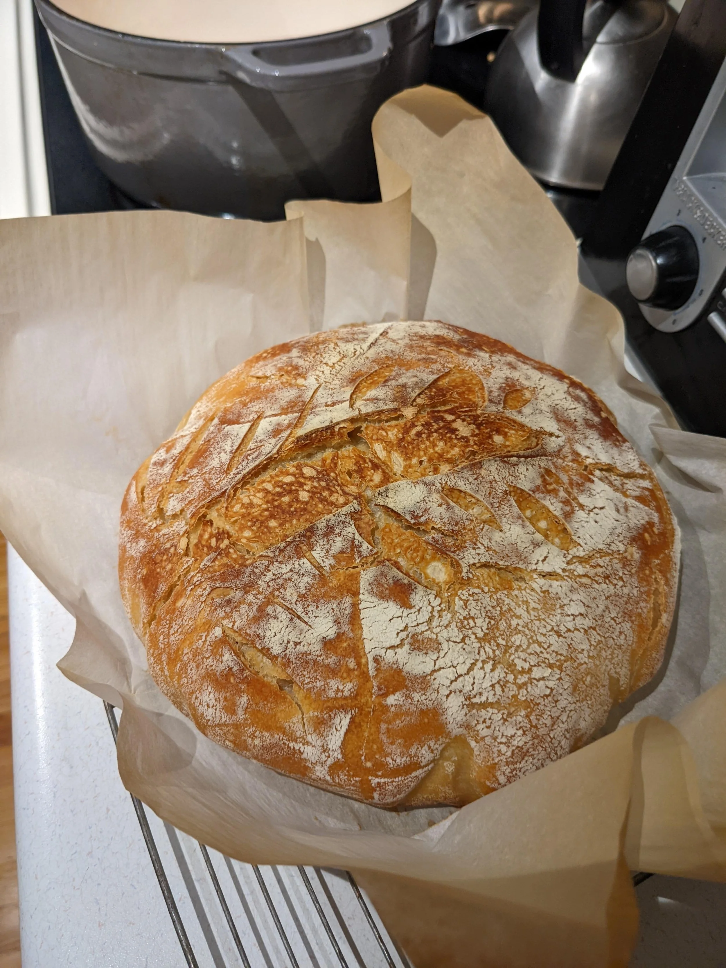 Gluten-Free Sourdough
