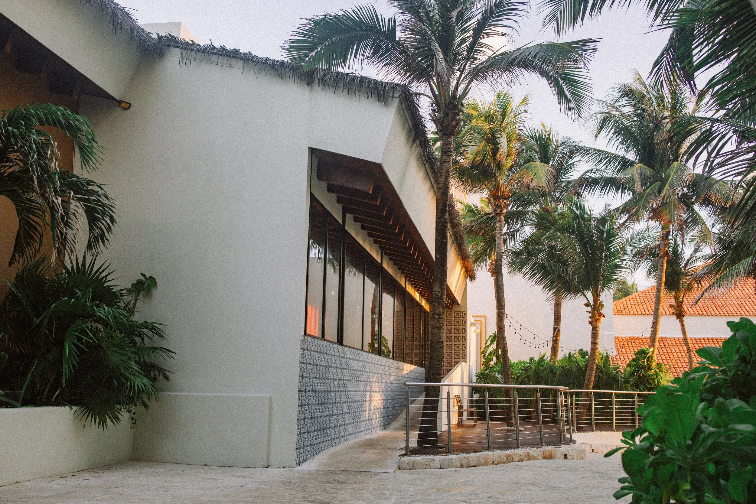 Modern building with large glass window, white walls, surrounded by tall palm trees and tropical plants, during golden hour.