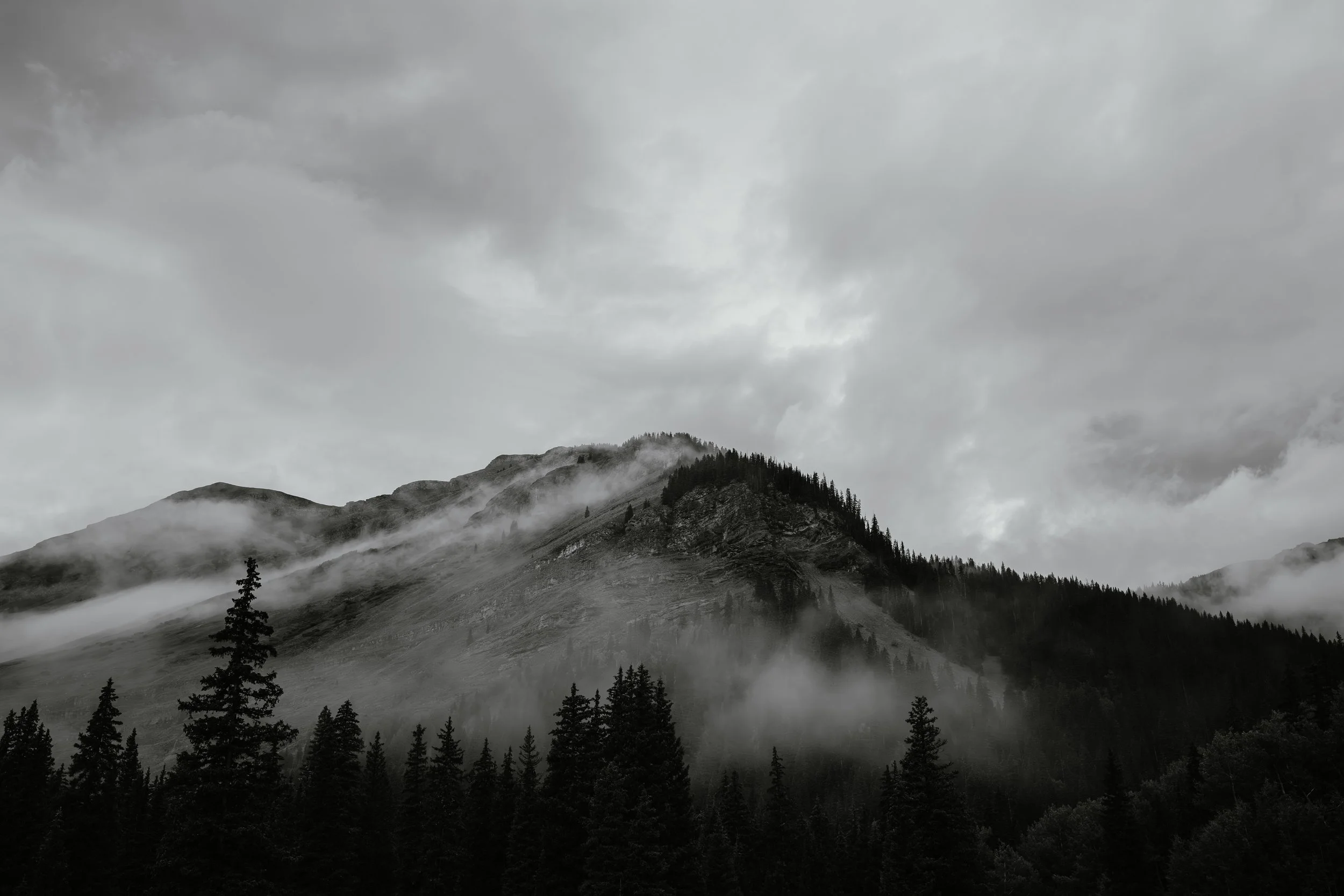 618A1180-Enhanced-NR.JPG