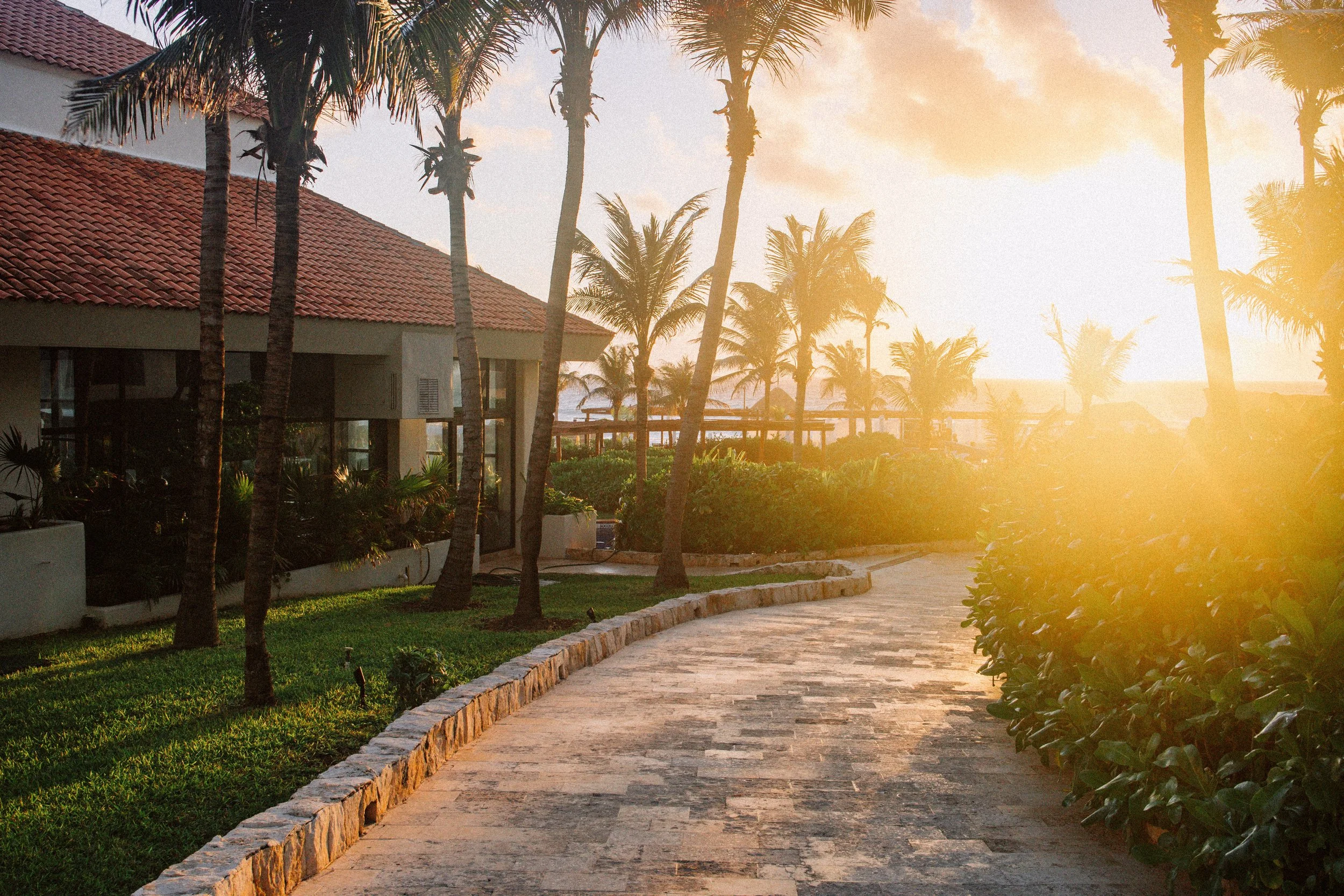 Sunset scene on a tropical resort, with tall palm trees, a stone walkway, lush greenery, and a building with a red tiled roof in the background.