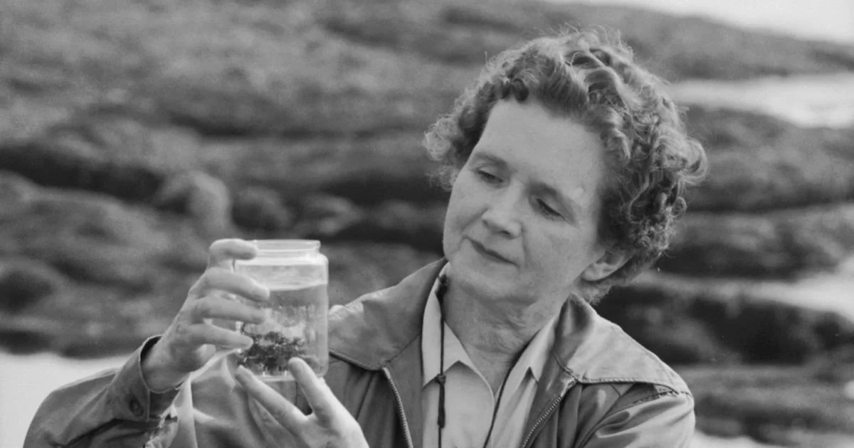 Rachel Carson