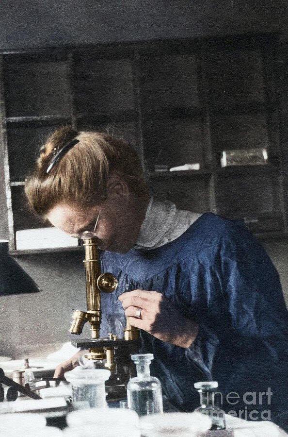 Nettie Stevens