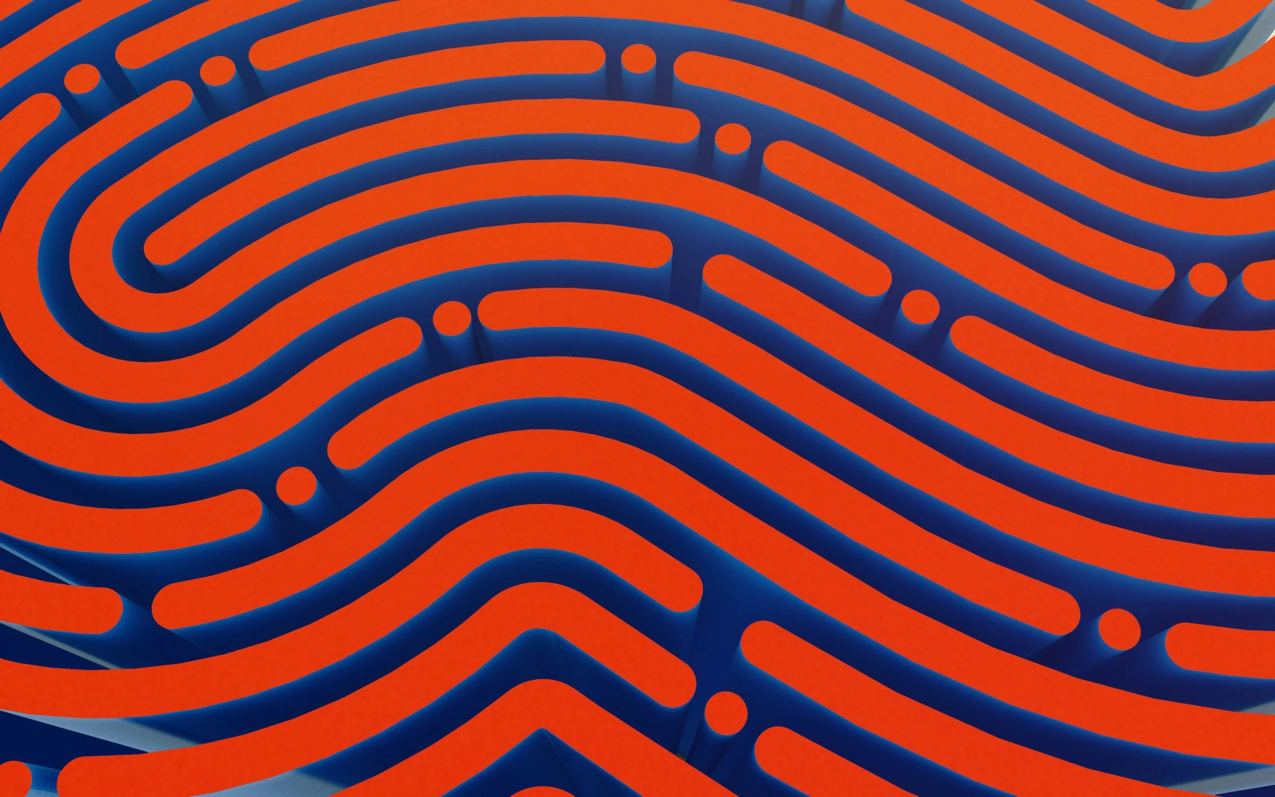 Fingerprint Forensics: Lift Your Own Prints