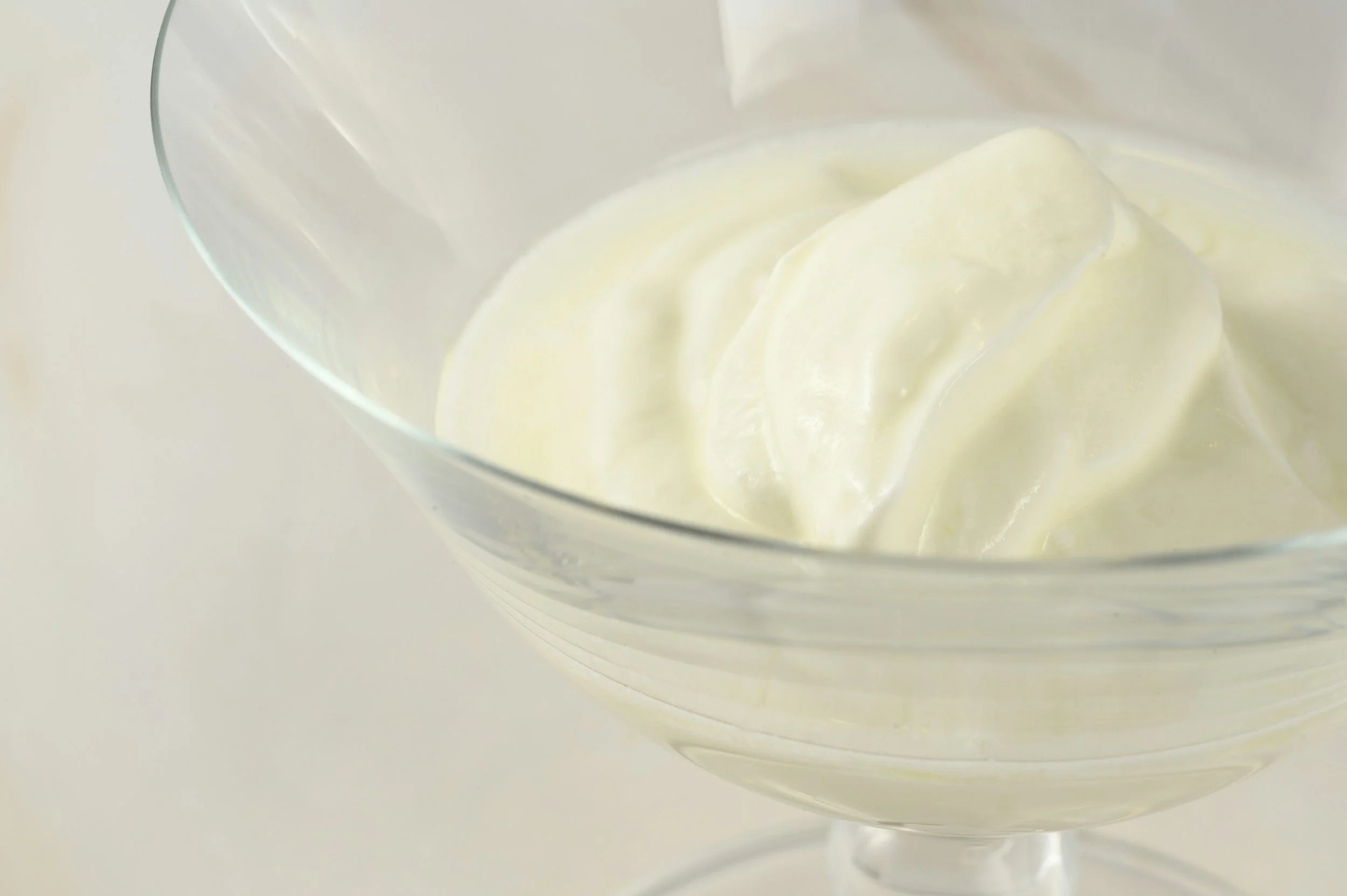 Homemade Yogurt: Culturing Bacteria