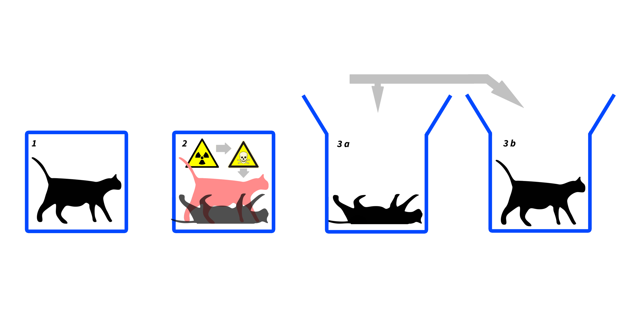 Schrödinger's Cat: Build Your Own Quantum Cat Simulator