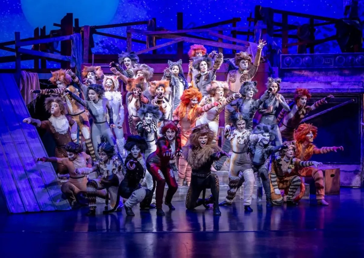 A large cast of performers dressed as cats in colorful costumes on a theater stage, posing with arms outstretched during a musical."