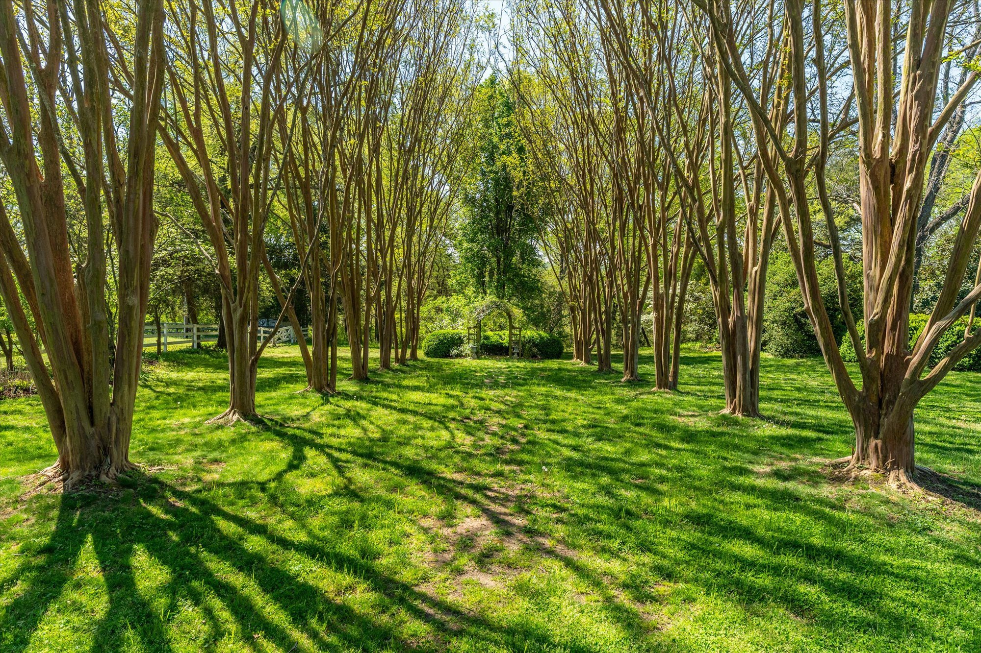 133-Tuckahoe Plantation 133.jpg