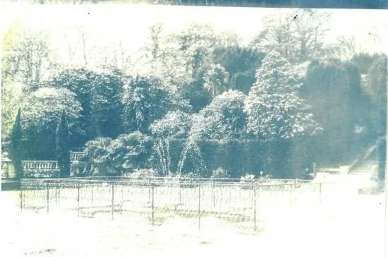 cyanotype6.JPG
