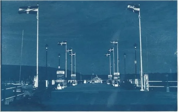cyanotype5.png