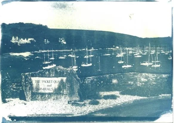 cyanotype8.JPG