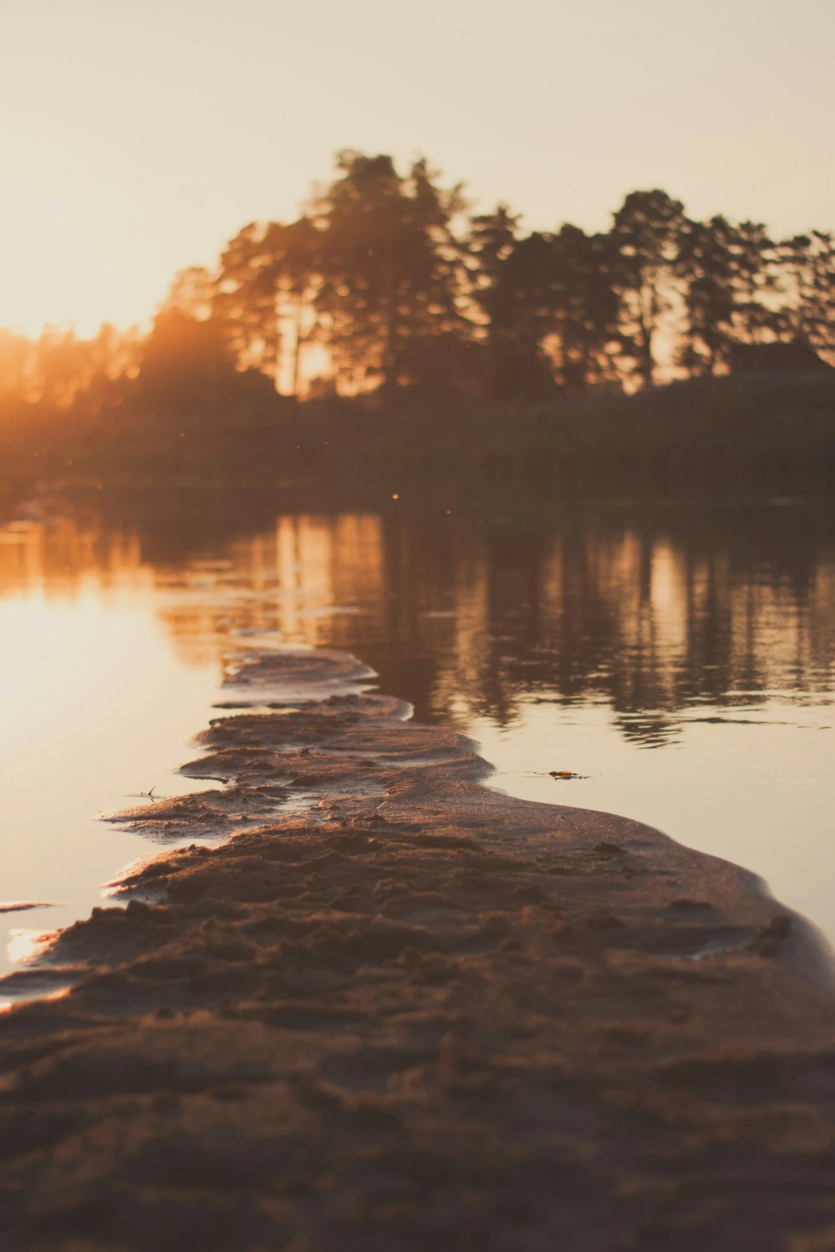 Sunset over a body of water with trees in the background, and rocks along the shoreline in the foreground.