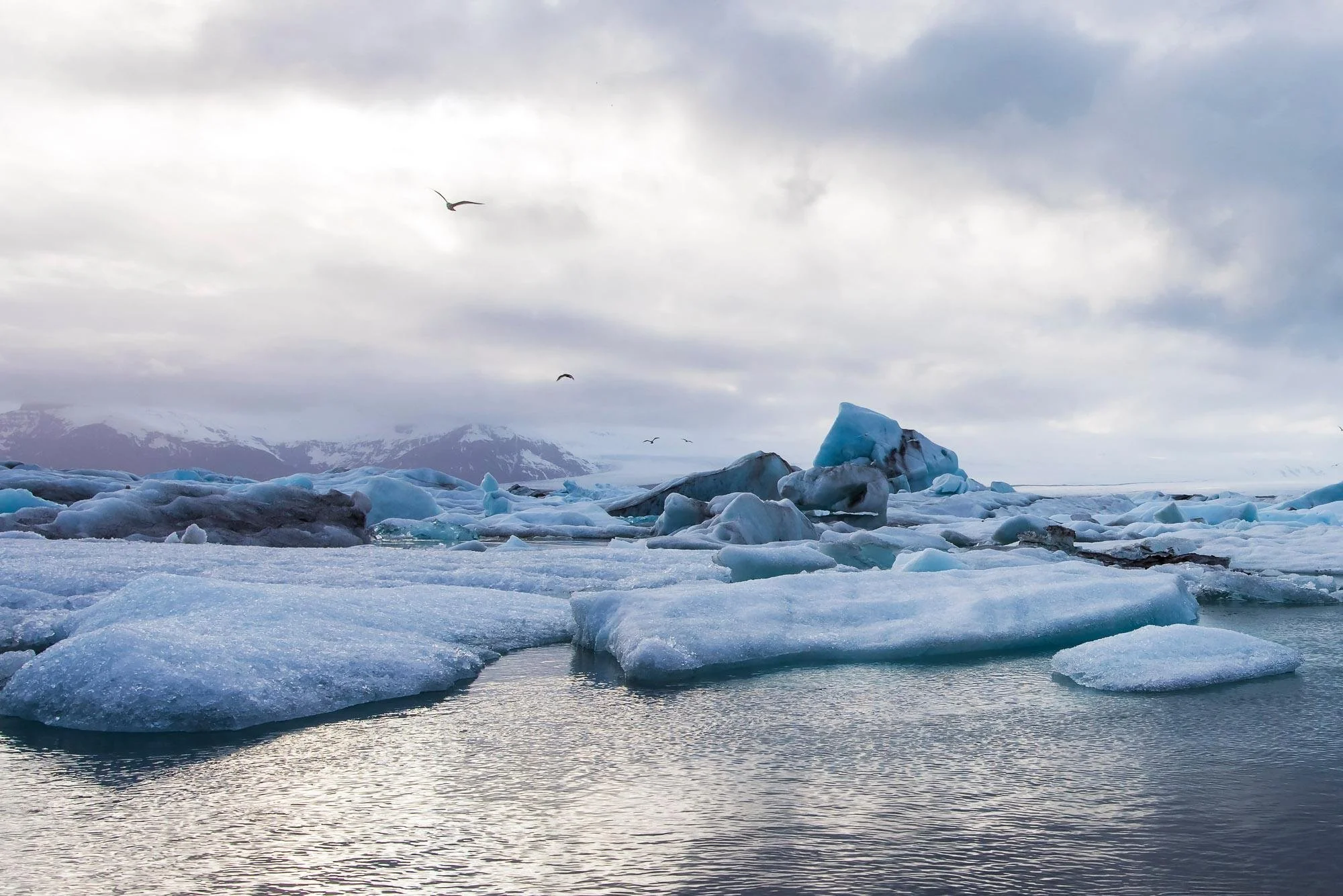 Jokulsarlon Galcier Lagoon 2