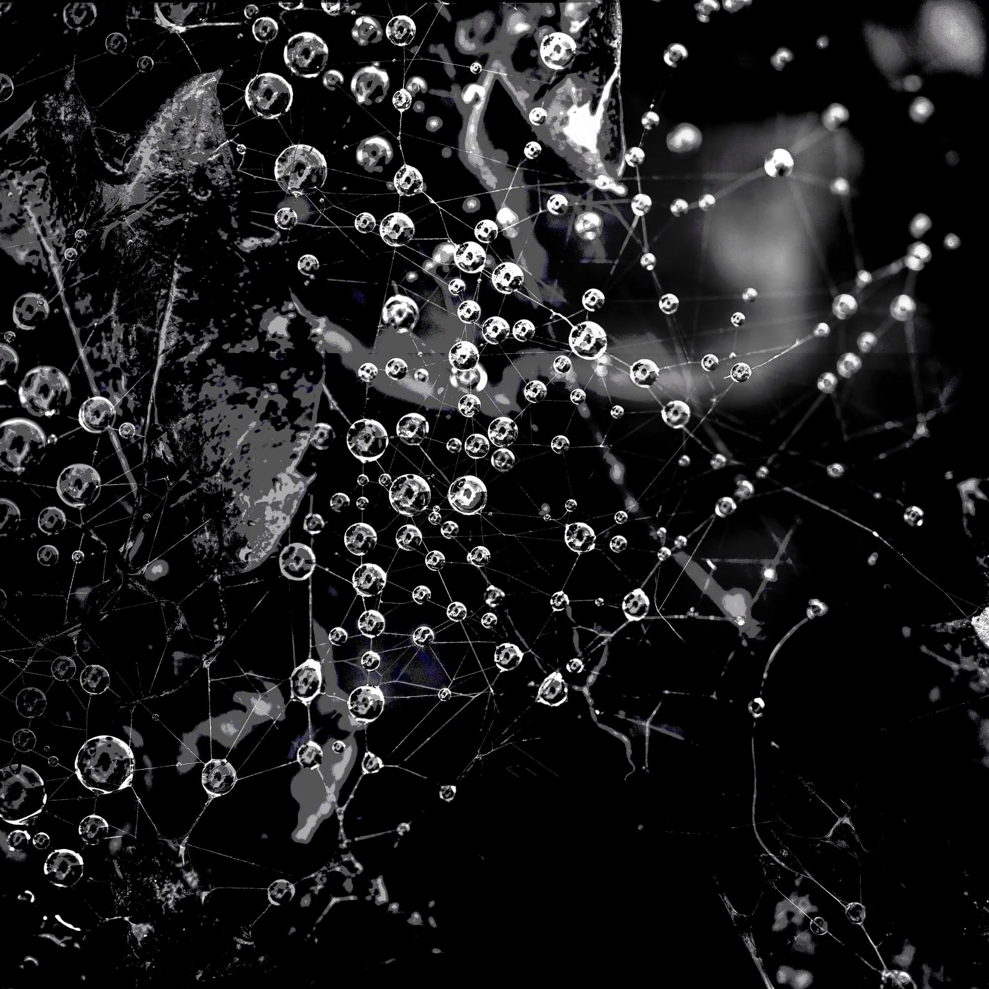 Stark Web