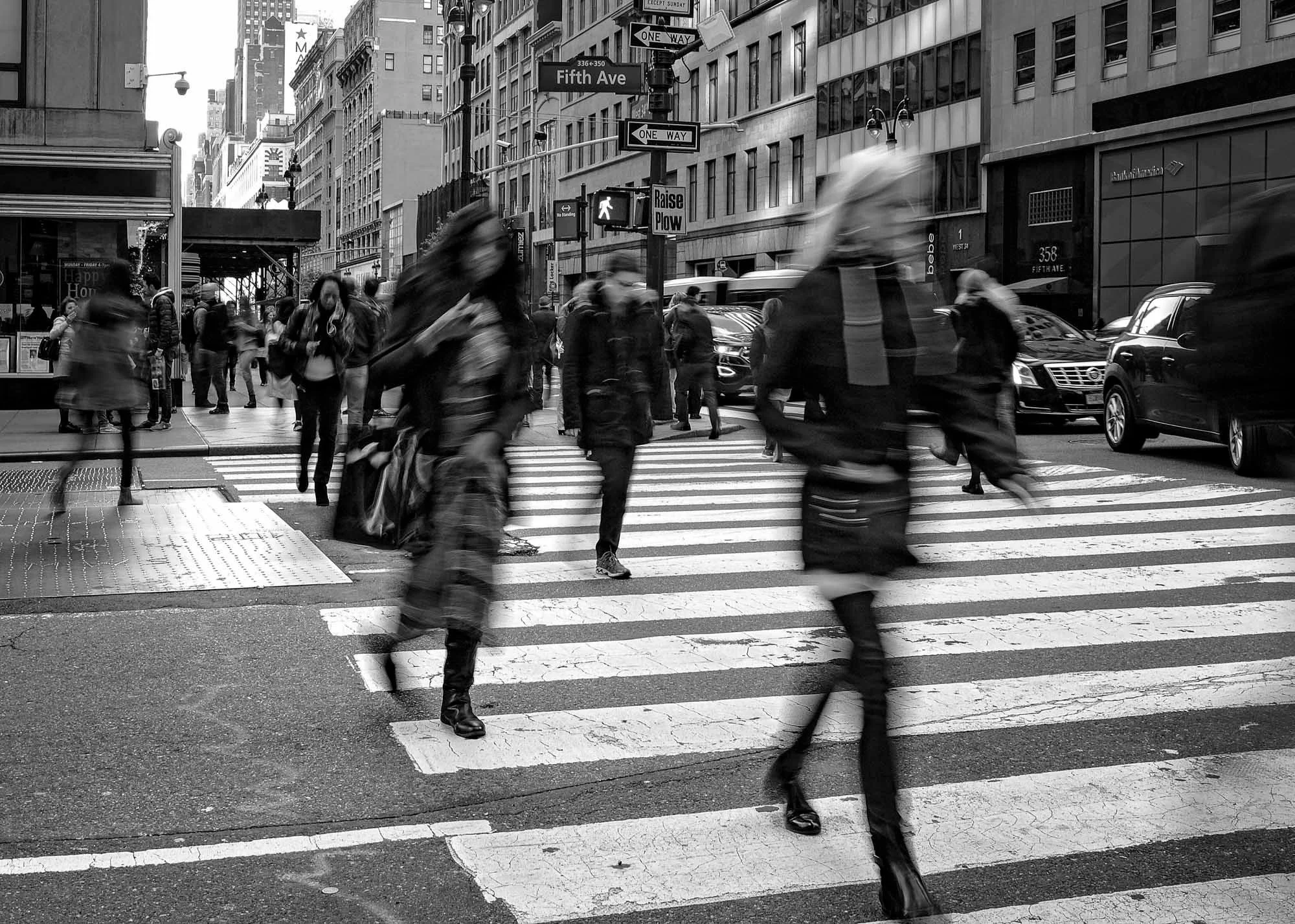 Fifth Avenue Fugue