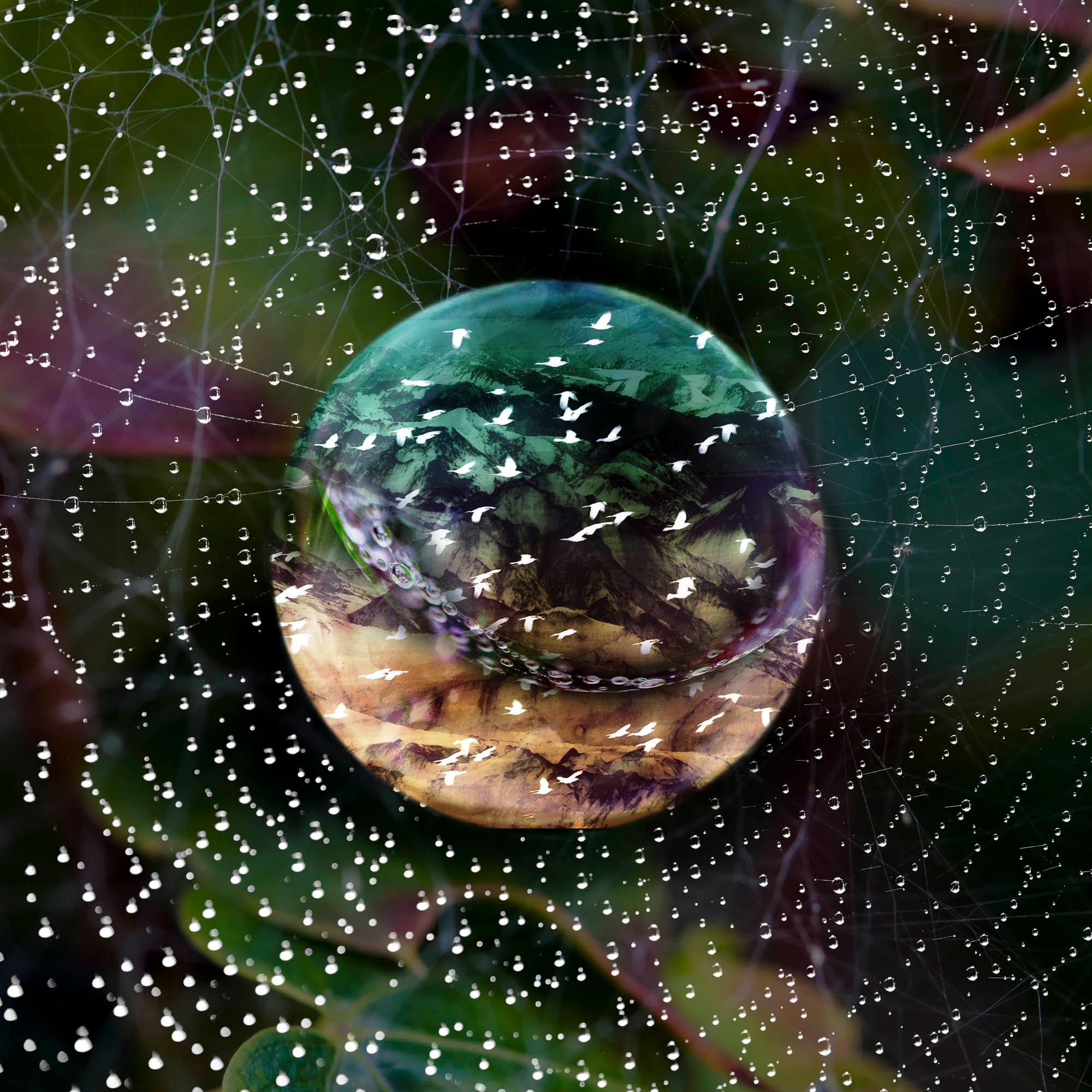 Multiverse #4