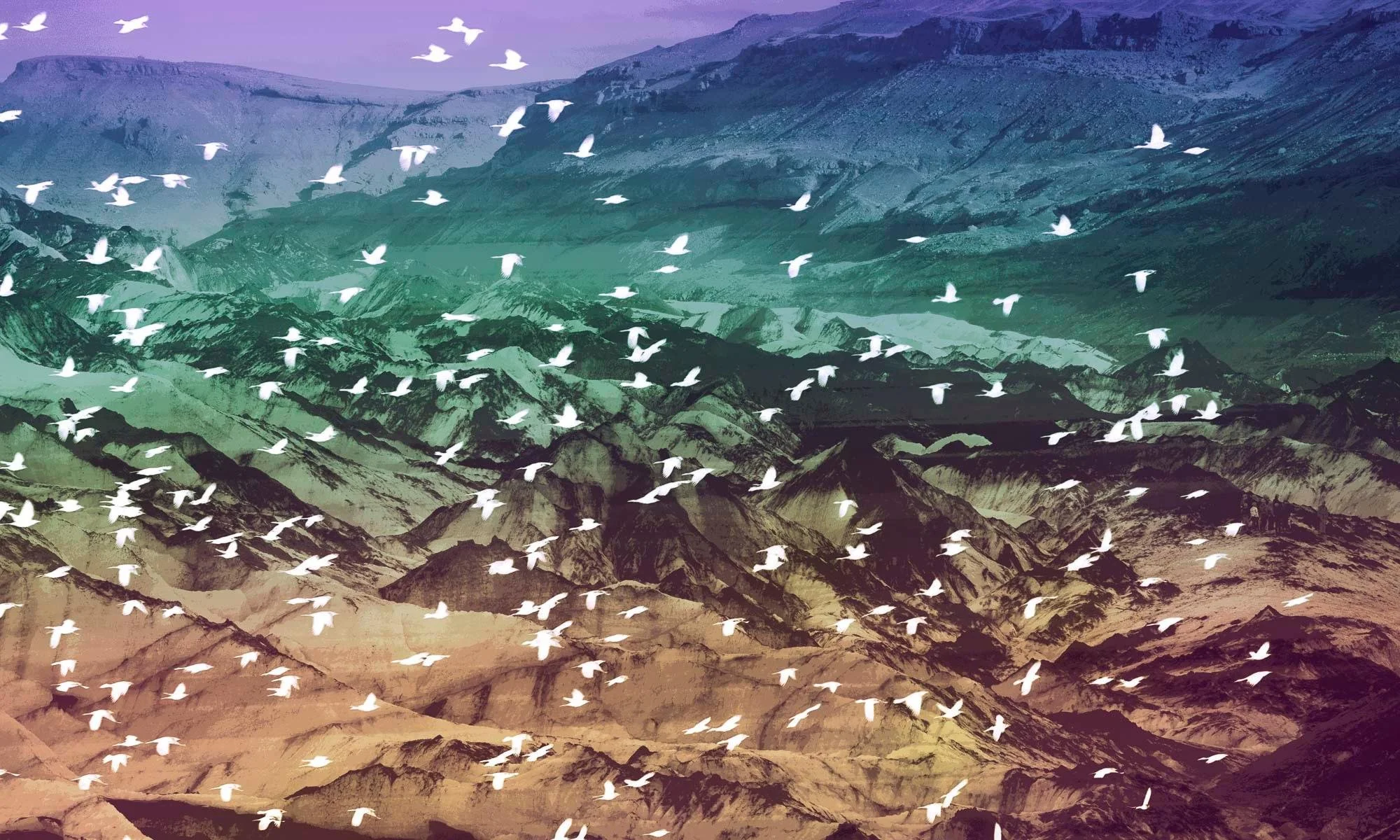 Overflight #1