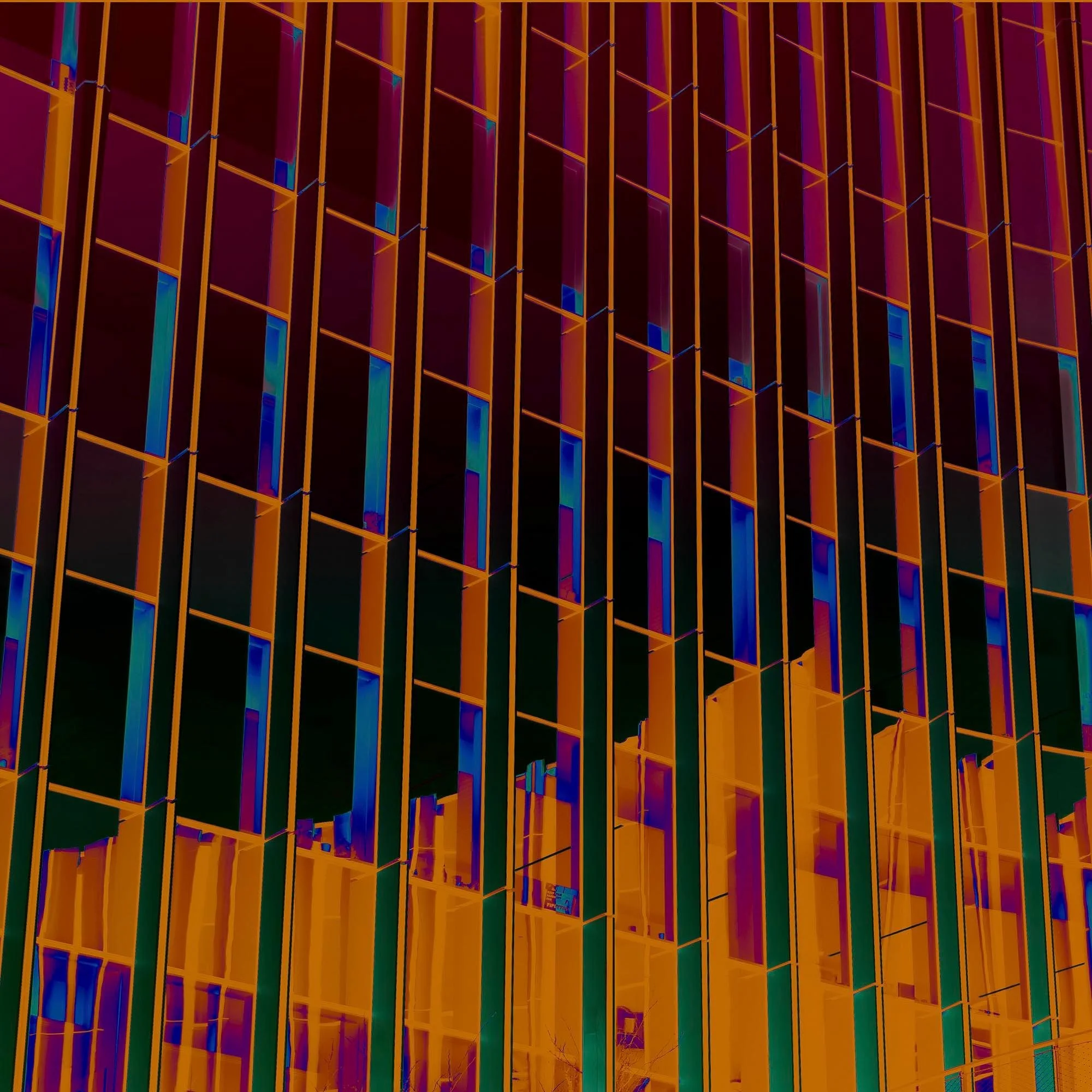 Reflections in Orange