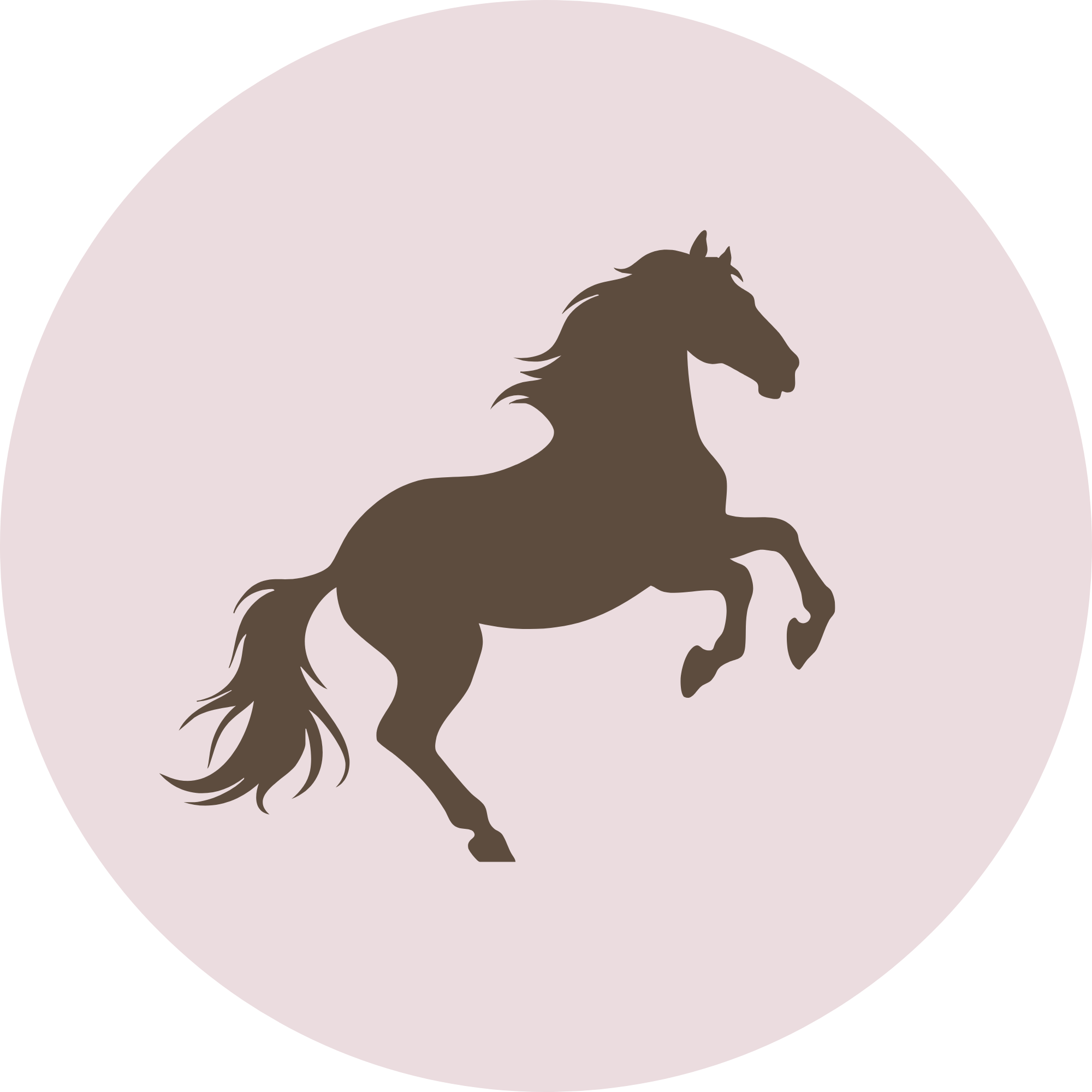 Silhouette of a rearing horse against a light pink circular background.