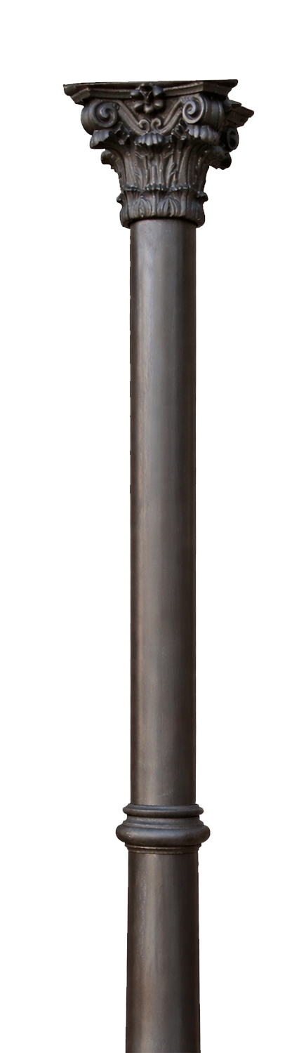 A dark-colored, ornate architectural column with a decorated capital featuring scrolls and floral motifs.