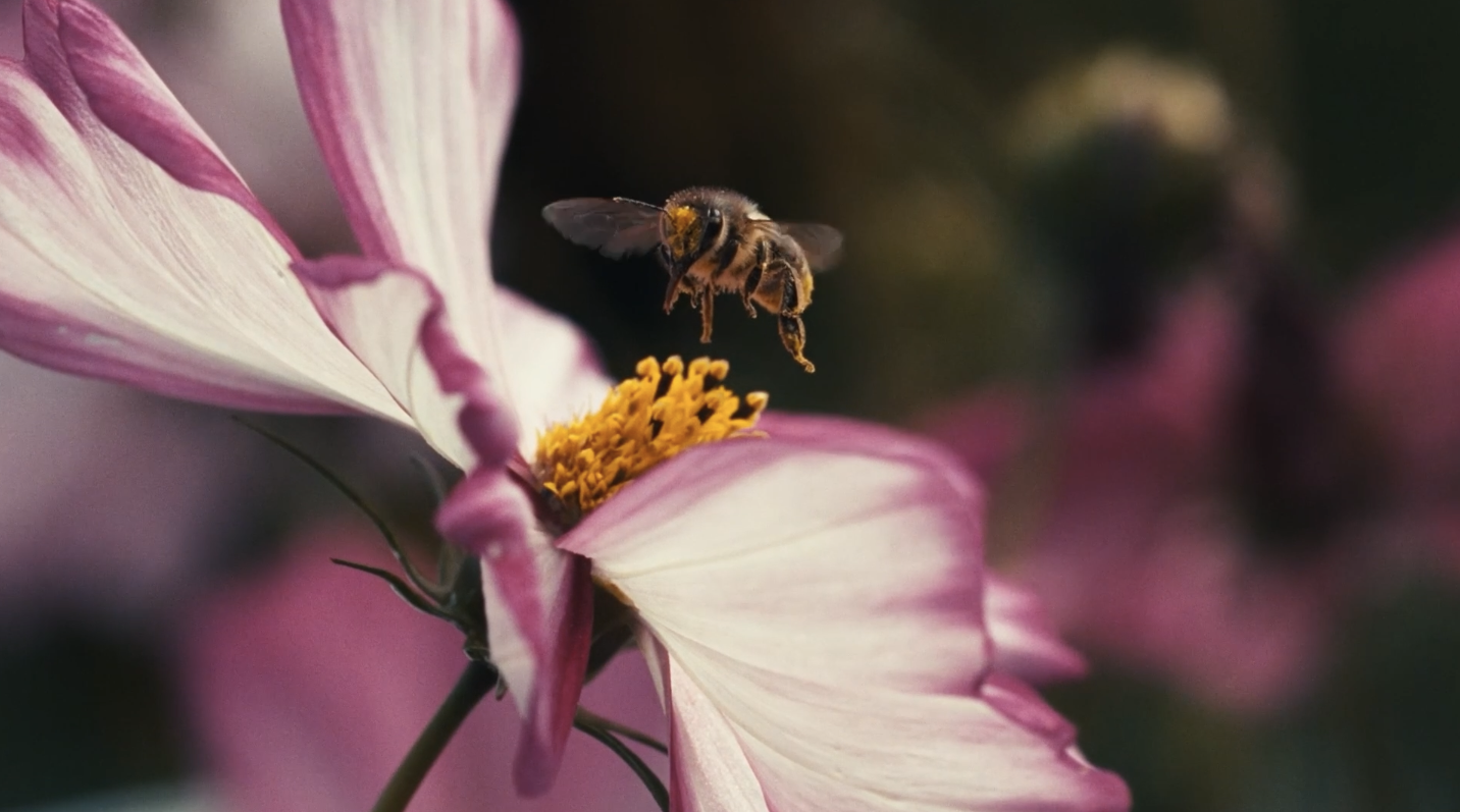 Screenshot 2026-04-08 at 23.43.53.png