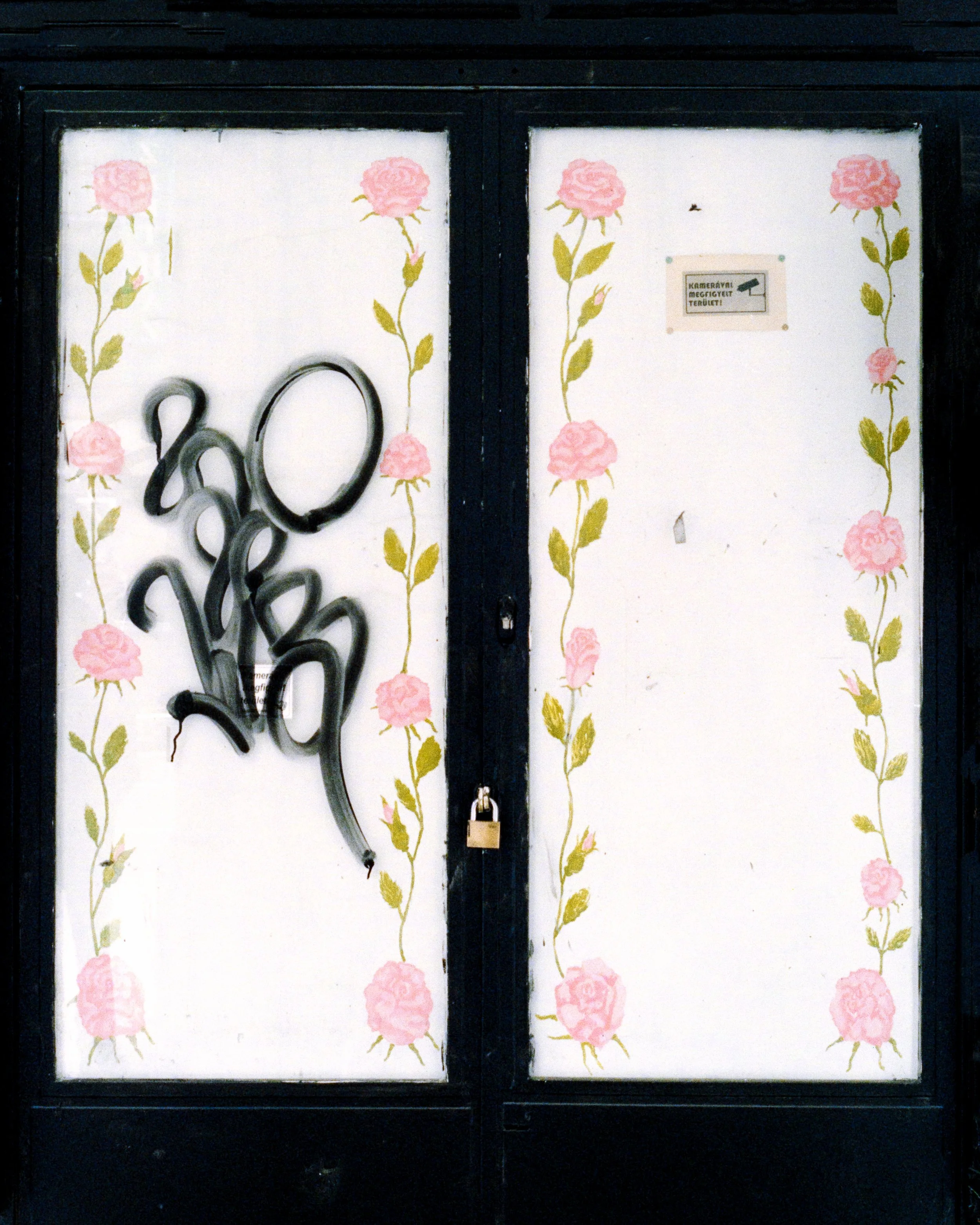 budapest 2023 (4).jpg