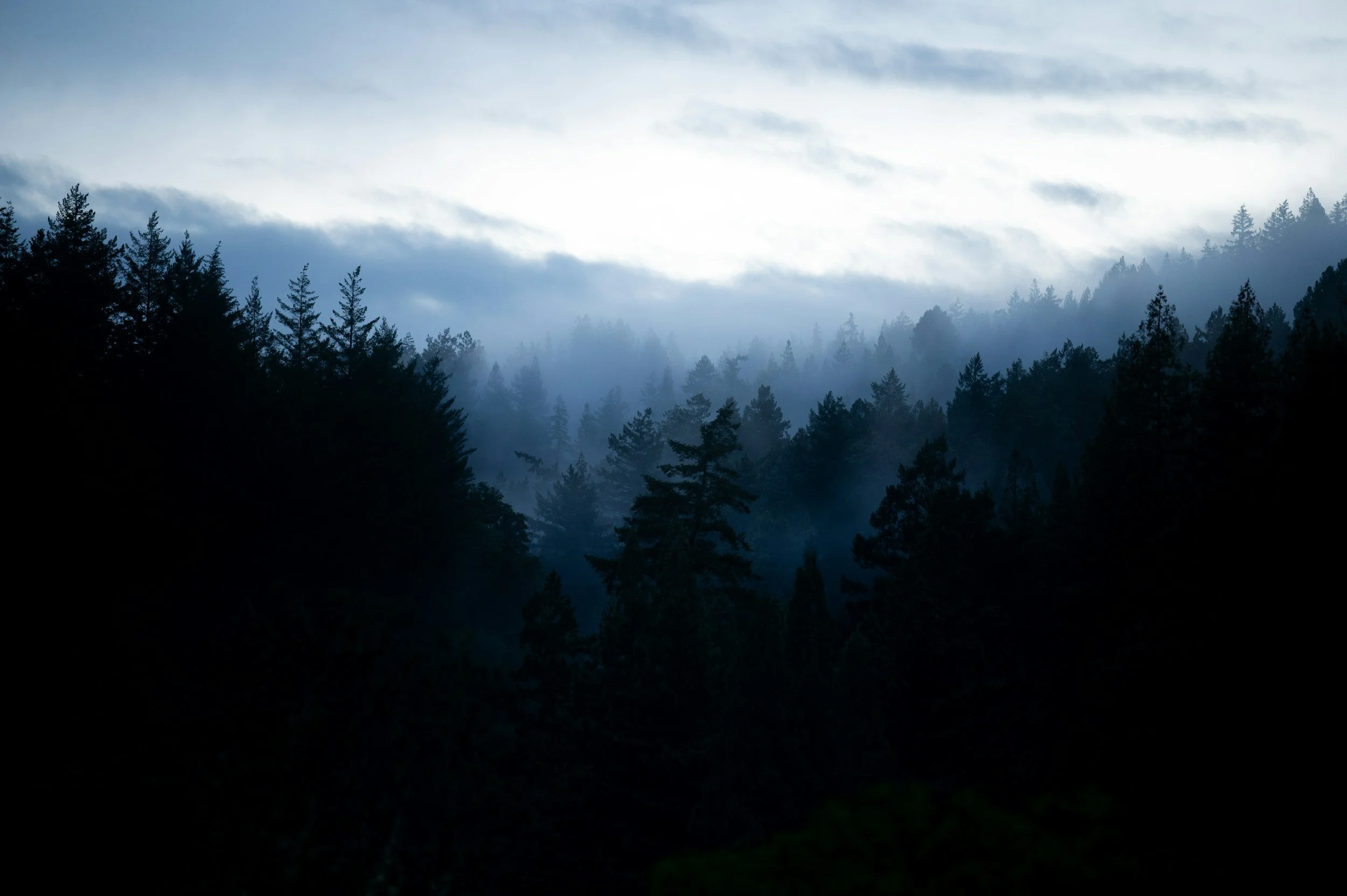 unsplash-image-czCn4aCWHtw.jpg