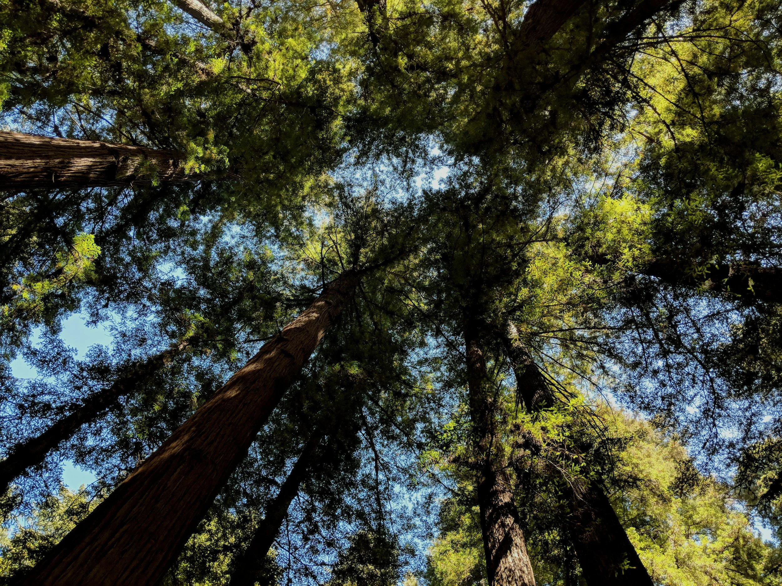 unsplash-image-tr1G_ZxfK68.jpg