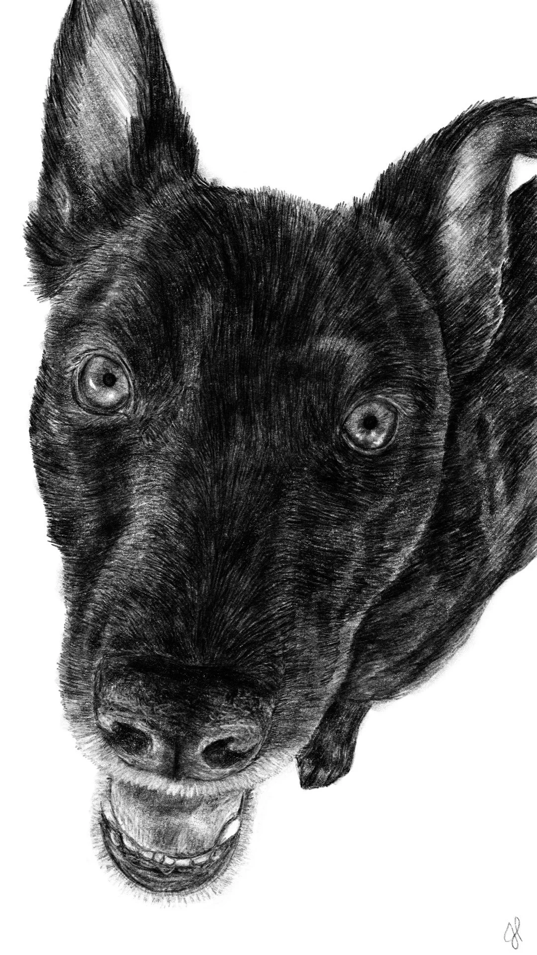 "Lucy"  | Digital Illustration | 2018