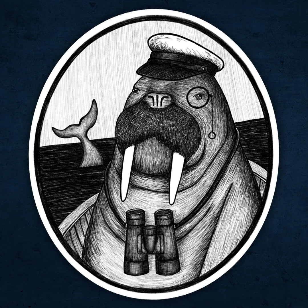 Walrus Whale Watcher Sticker