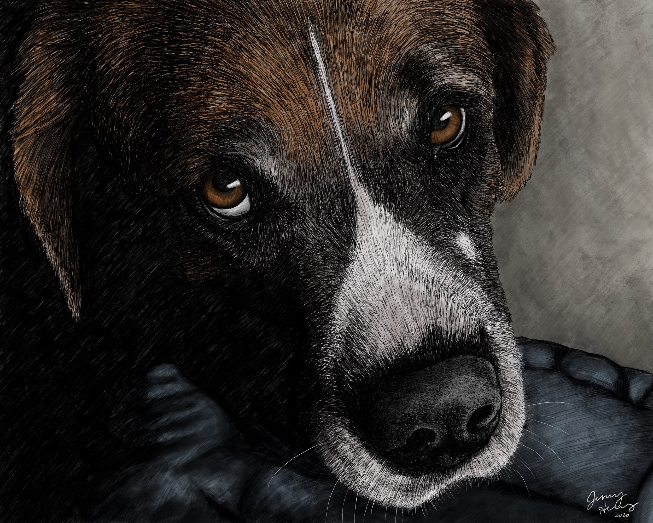 "Rocky" | Digital Illustration | 2020