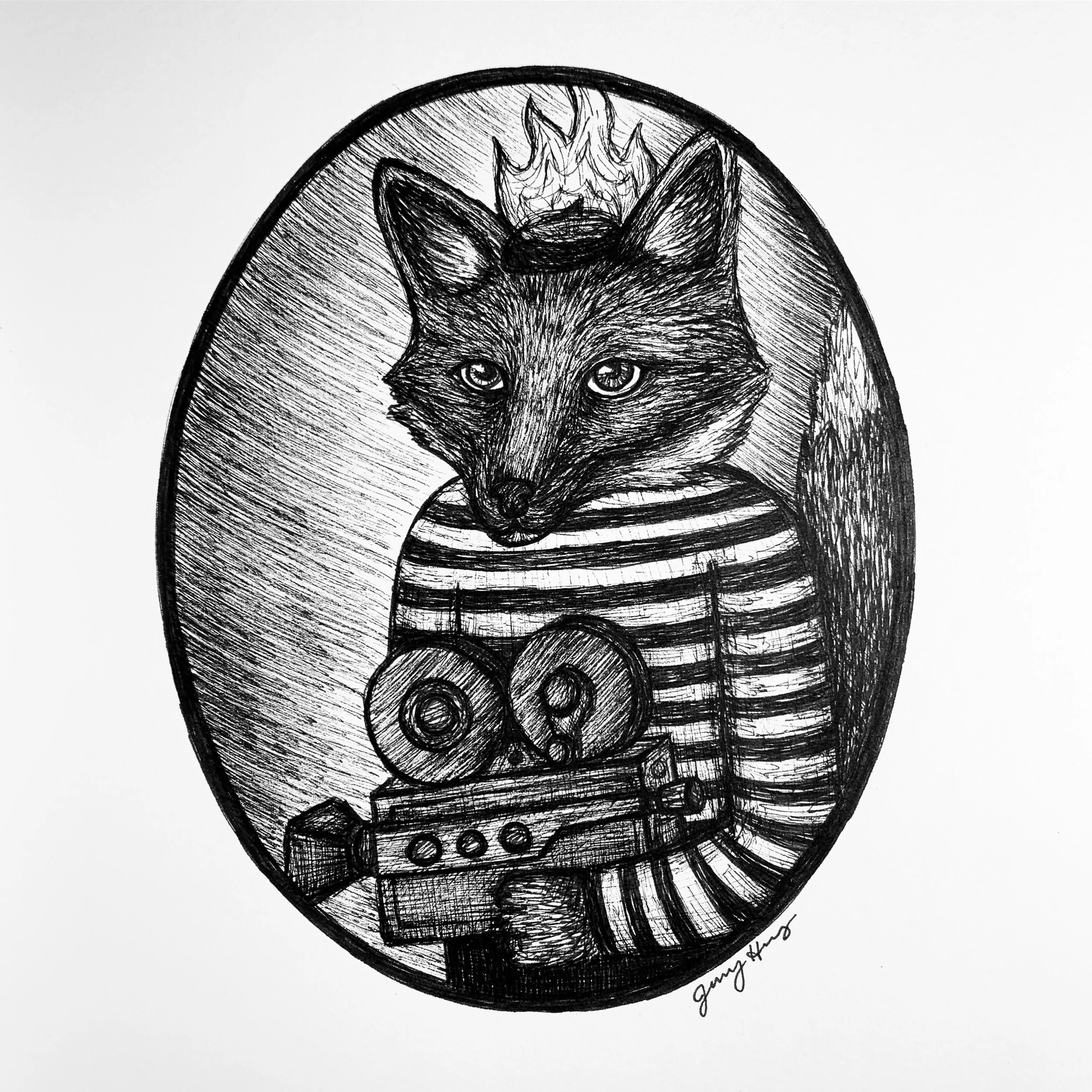 Fiery French Fox Filmmaker