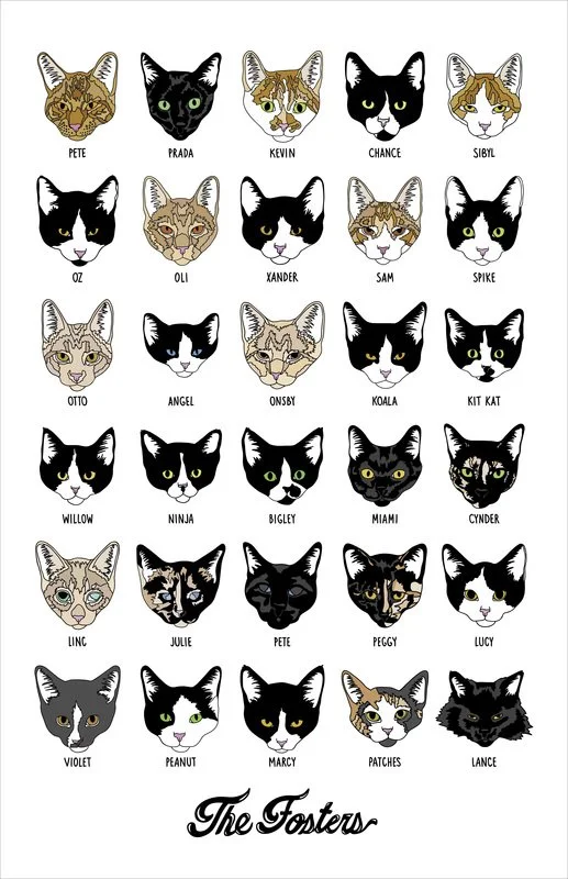 Fosters-print.jpg